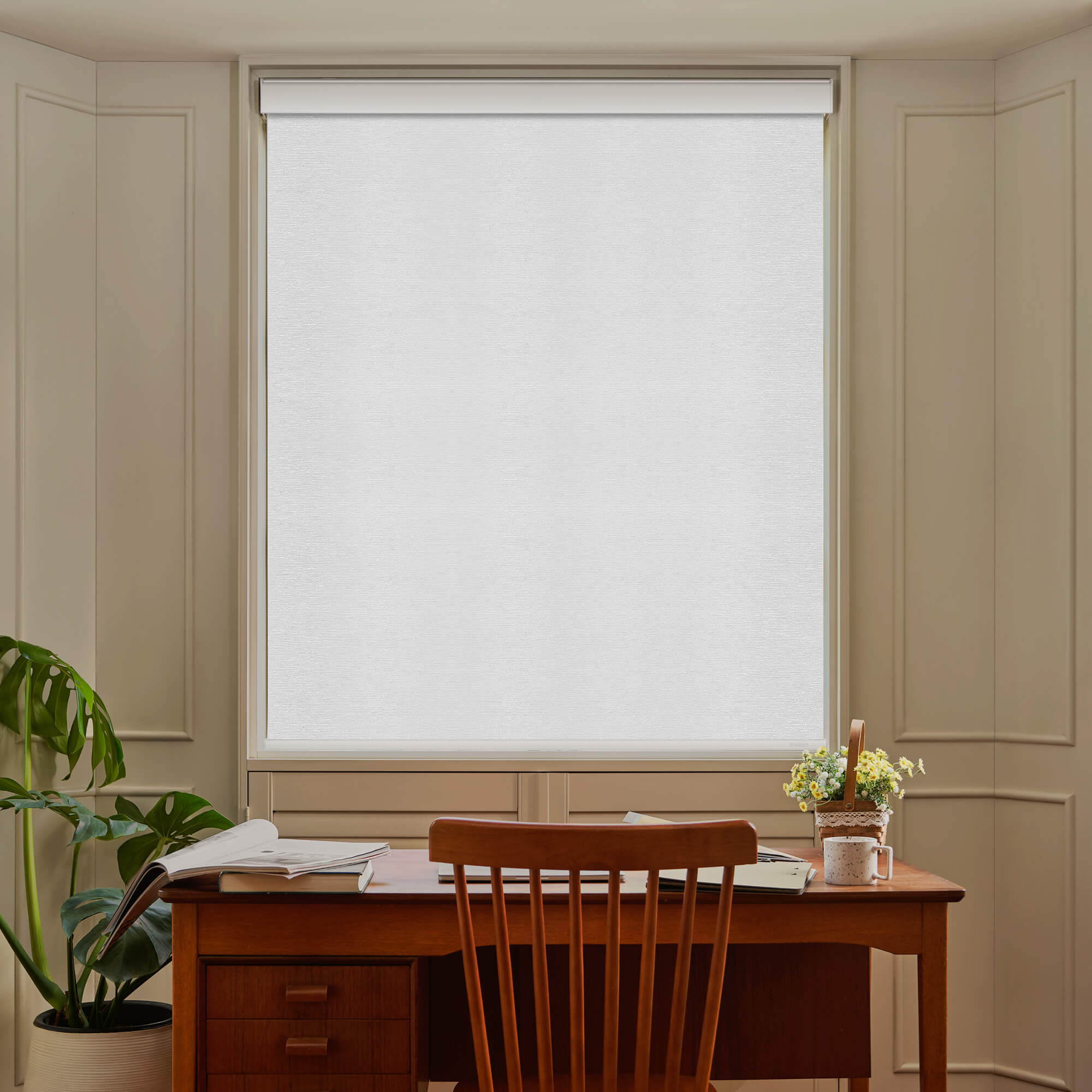Allesin Select Motorized Blackout Roller Shades