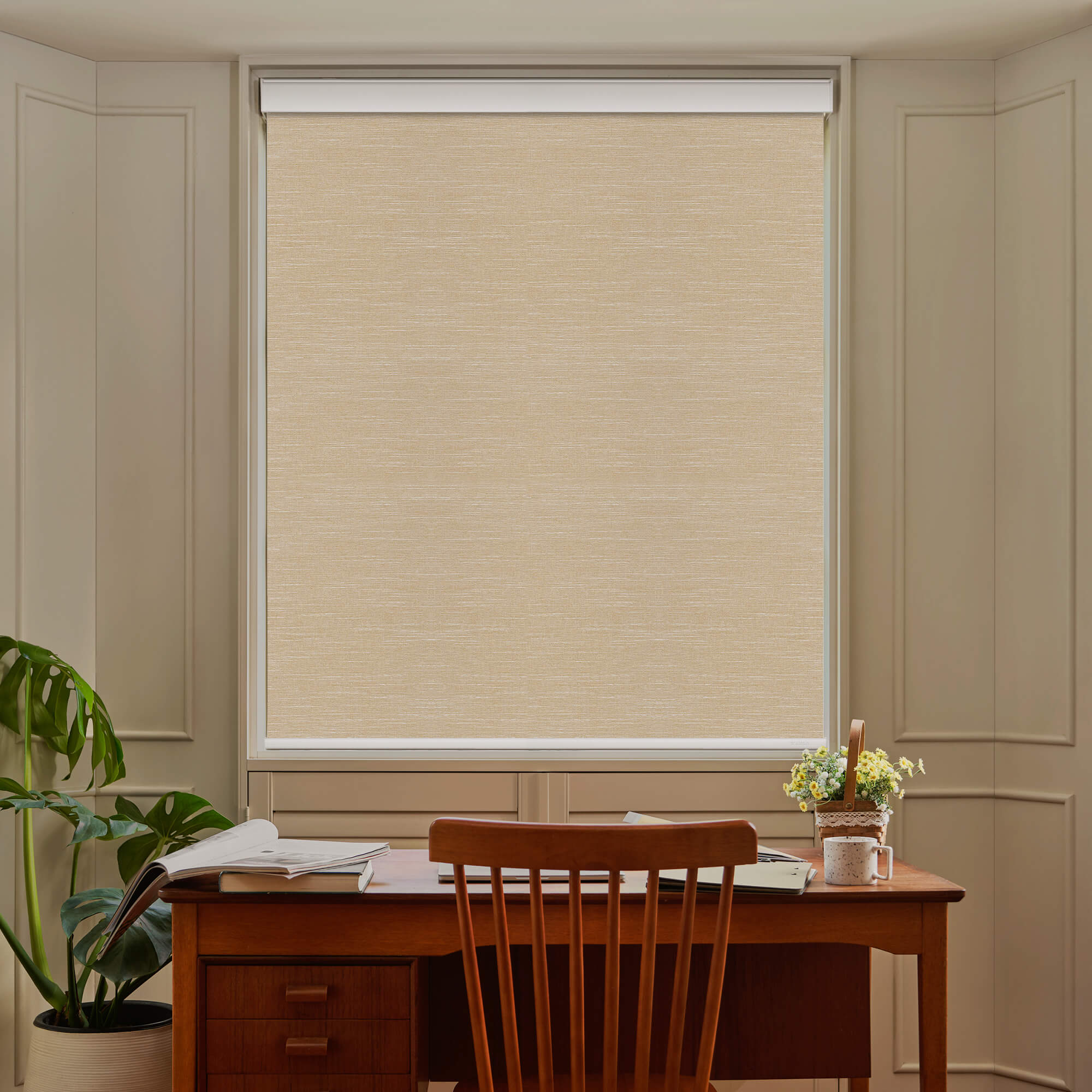 Allesin Select Motorized Blackout Roller Shades