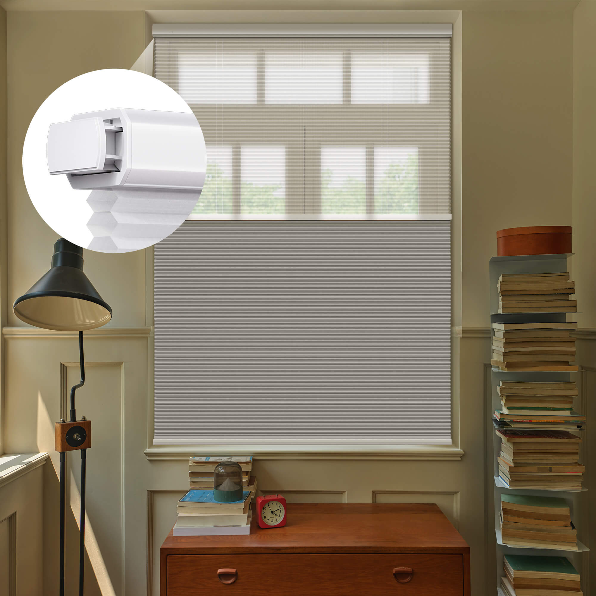 Allesin Prestige Motorized Day/Night Honeycomb Shades