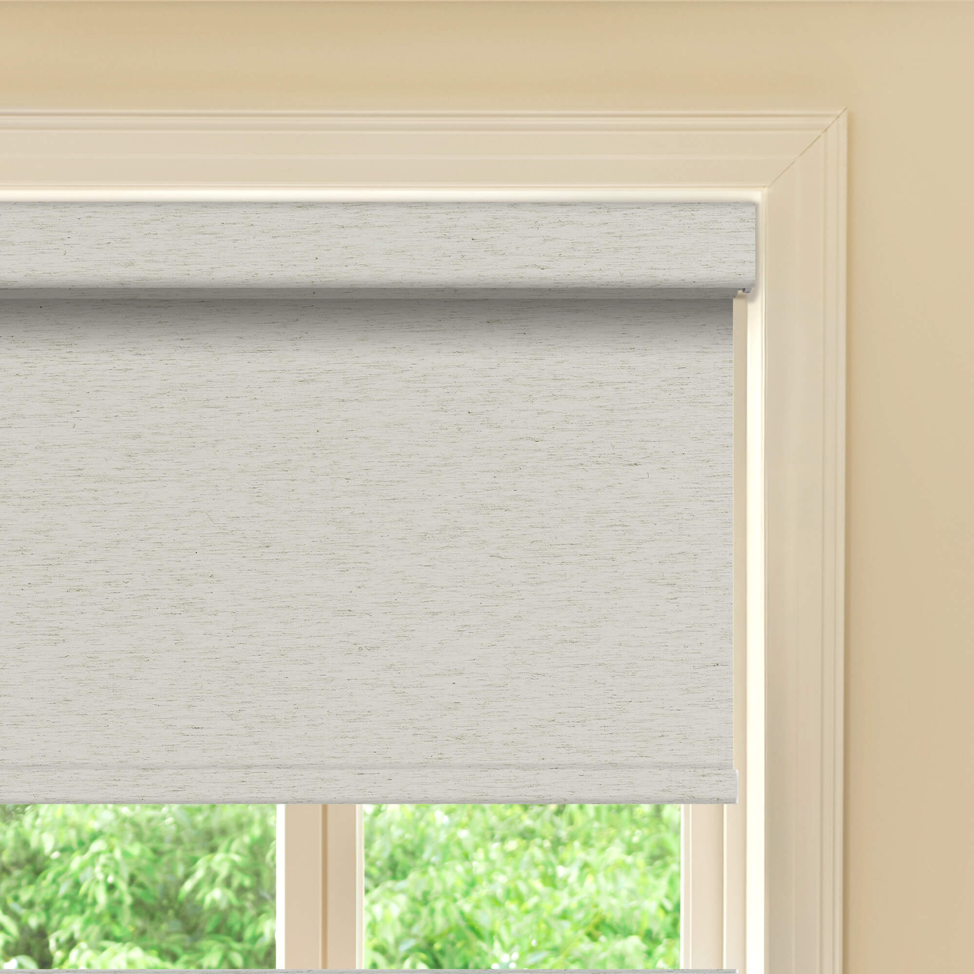 Allesin Prestige Motorized Blackout Roller Shades
