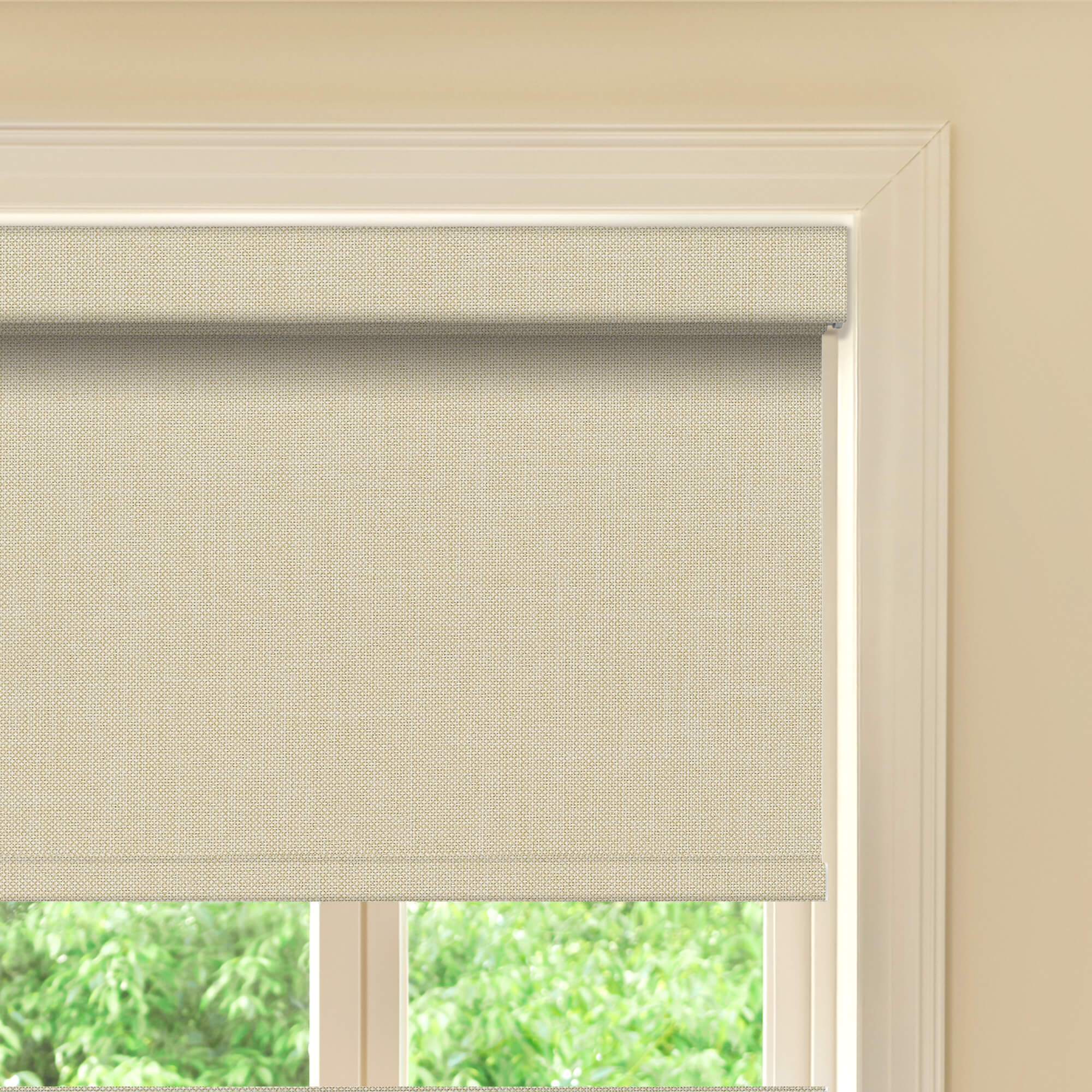 Allesin Prestige Motorized Blackout Roller Shades