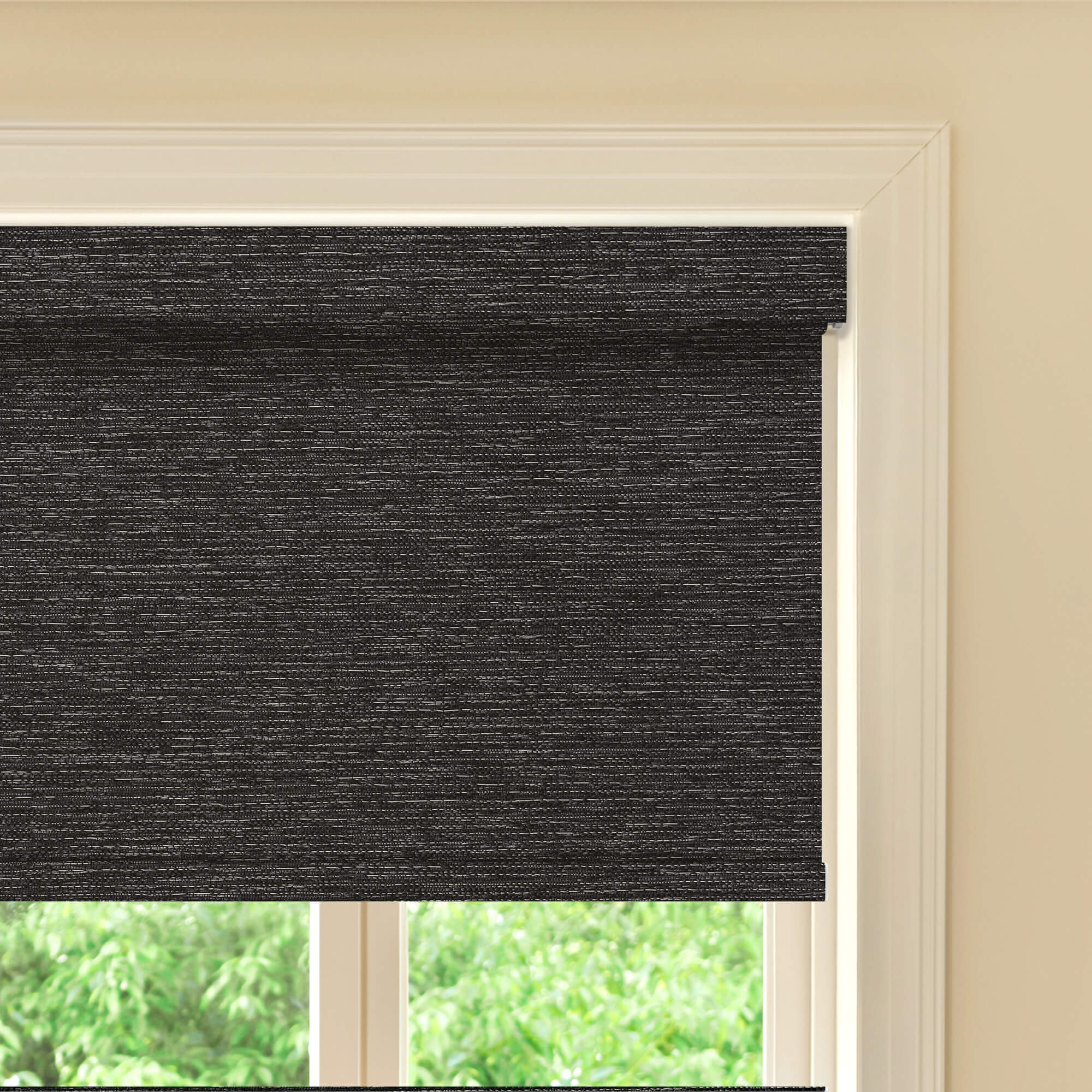 Allesin Prestige Motorized Blackout Roller Shades