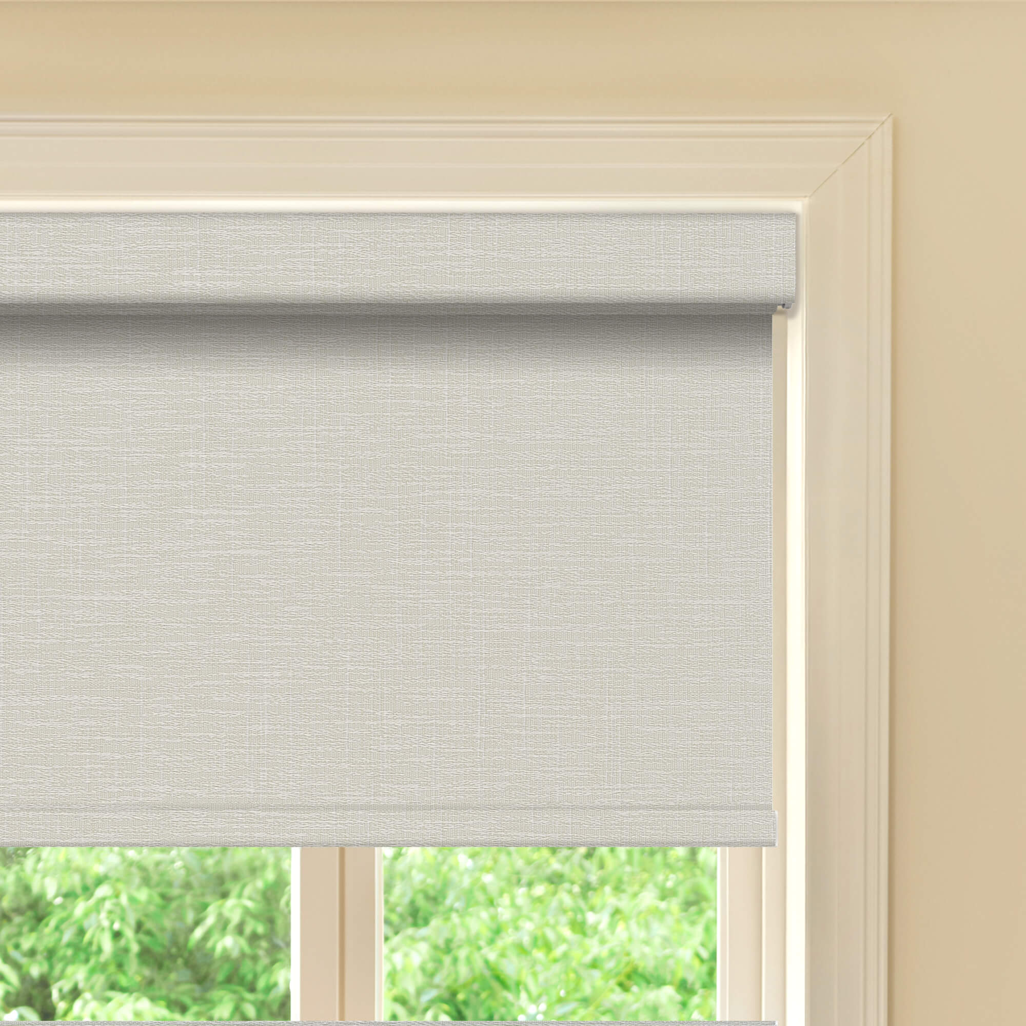 Allesin Prestige Motorized Blackout Roller Shades