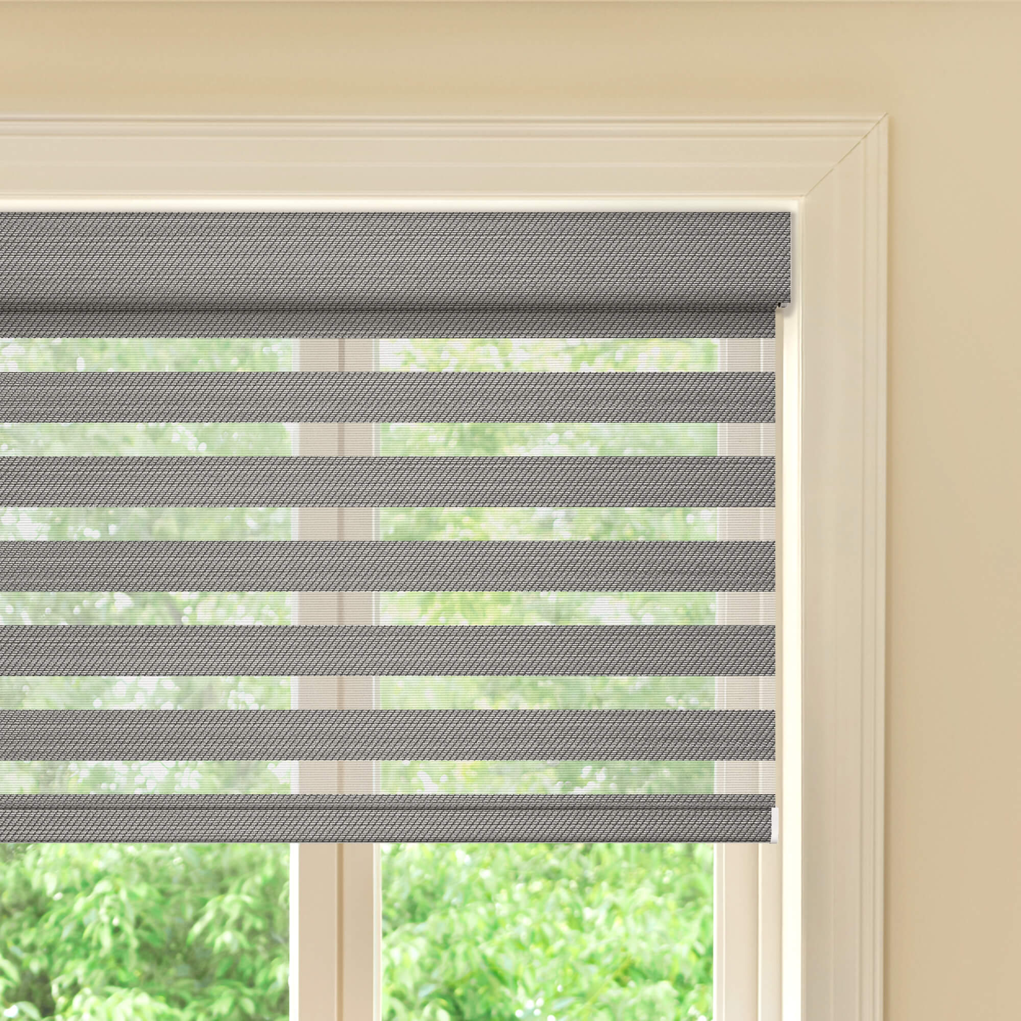 Allesin Prestige Motorized Zebra Shades