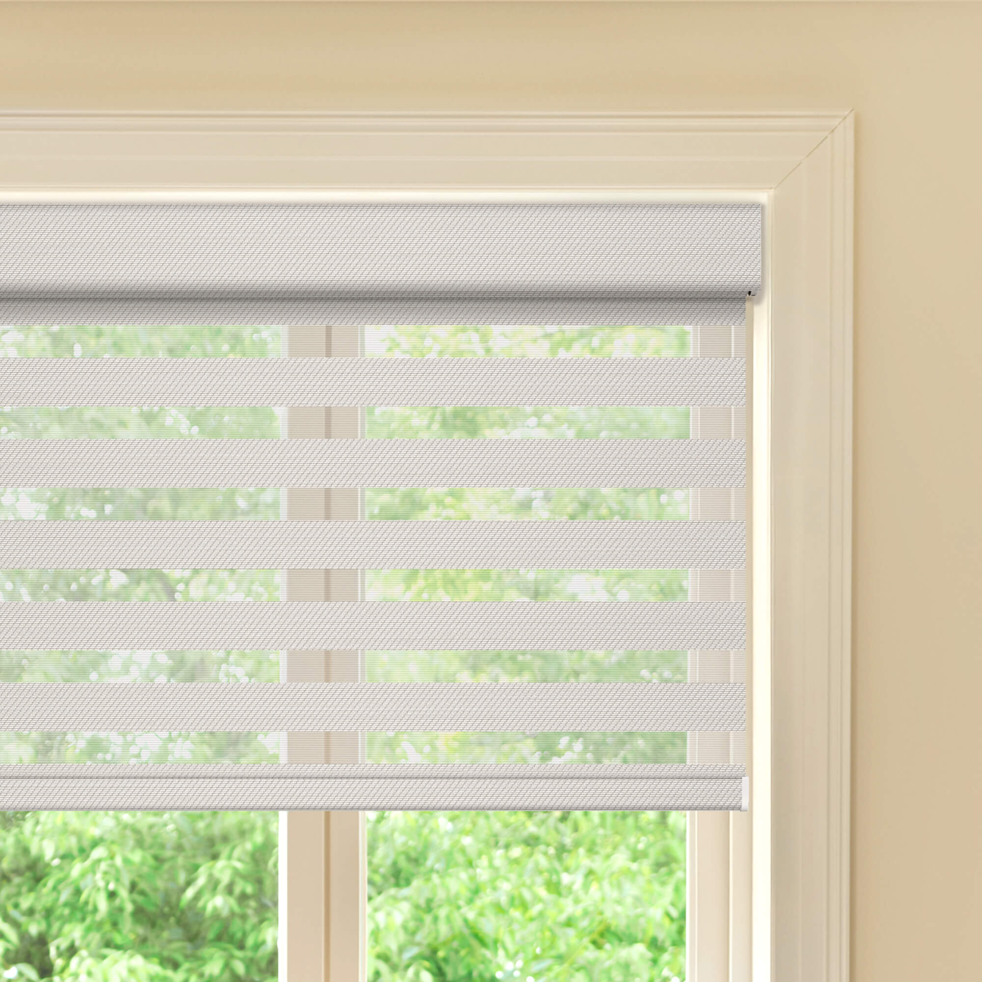 Allesin Prestige Motorized Zebra Shades