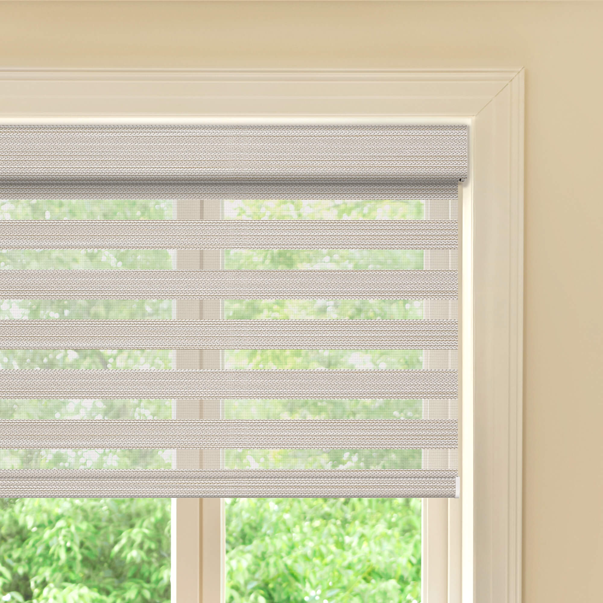 Allesin Prestige Motorized Zebra Shades