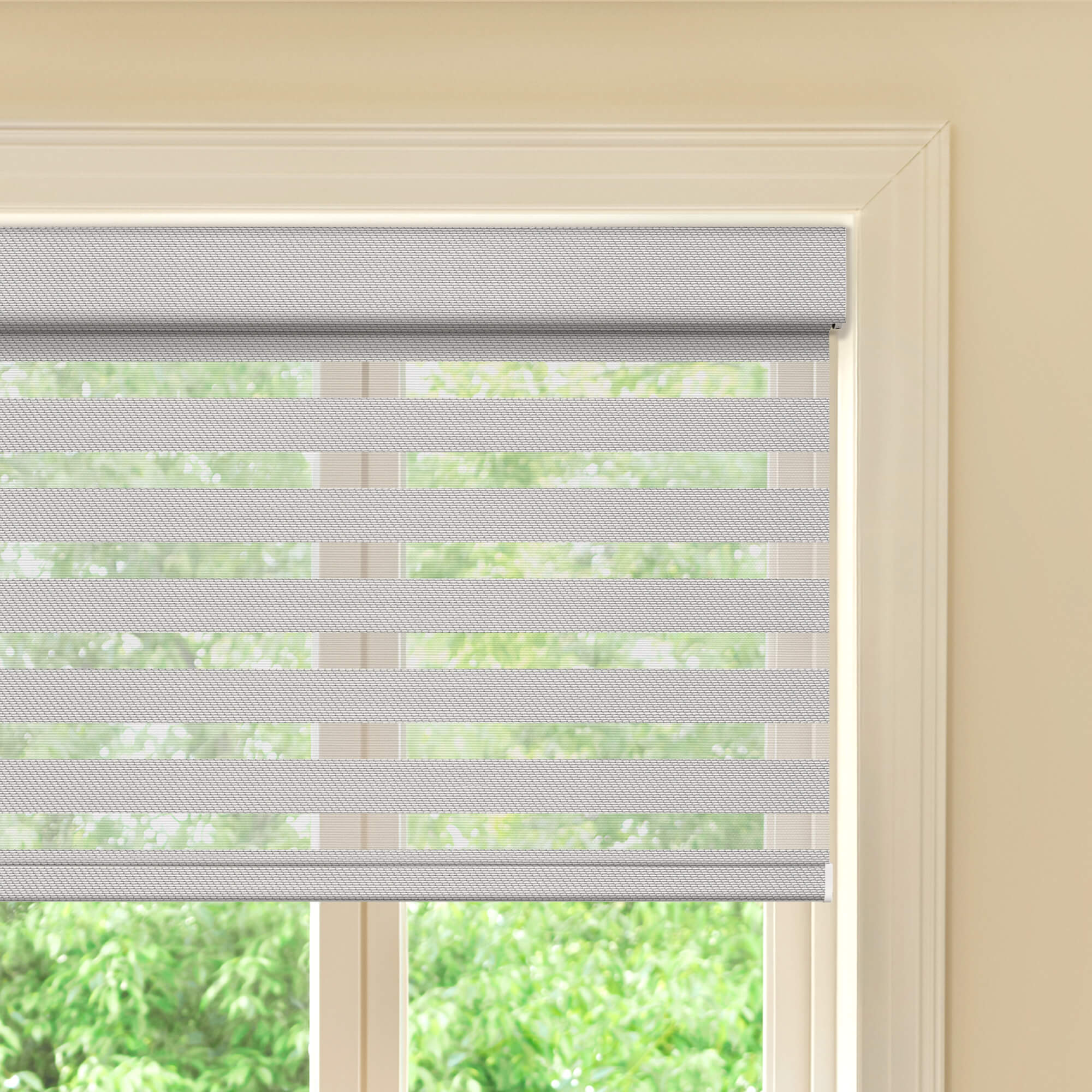 Allesin Prestige Motorized Zebra Shades