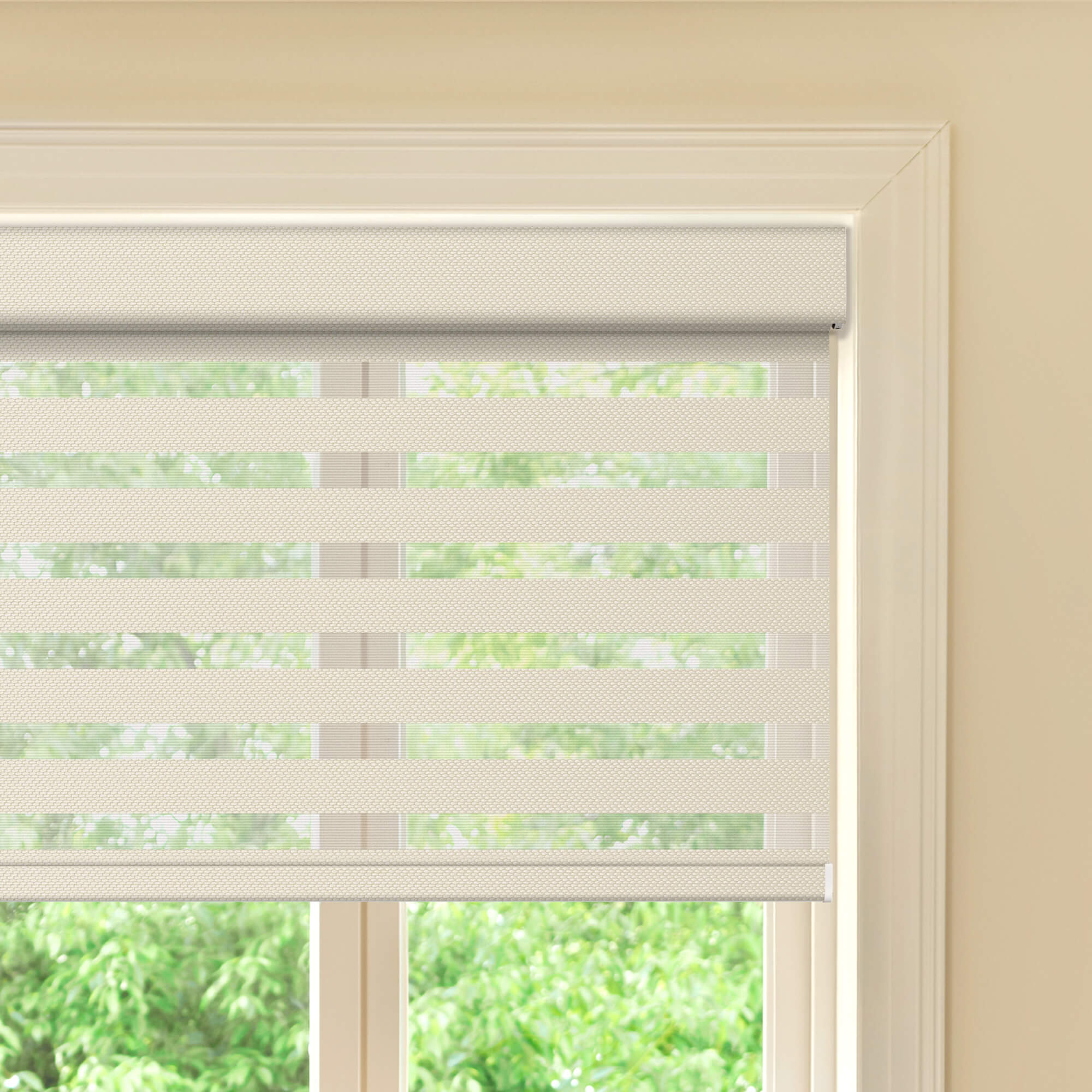 Allesin Prestige Motorized Zebra Shades