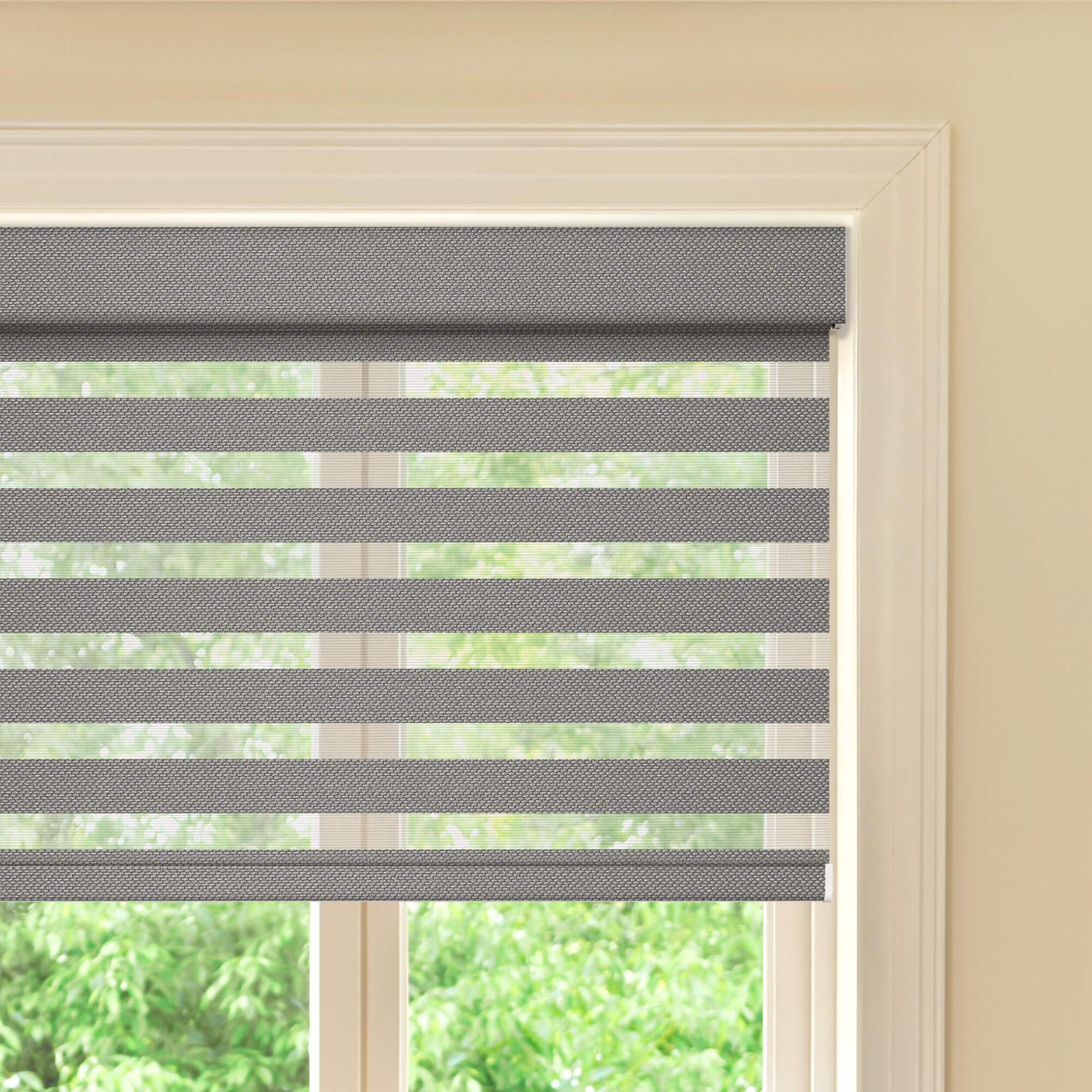 Allesin Prestige Motorized Zebra Shades