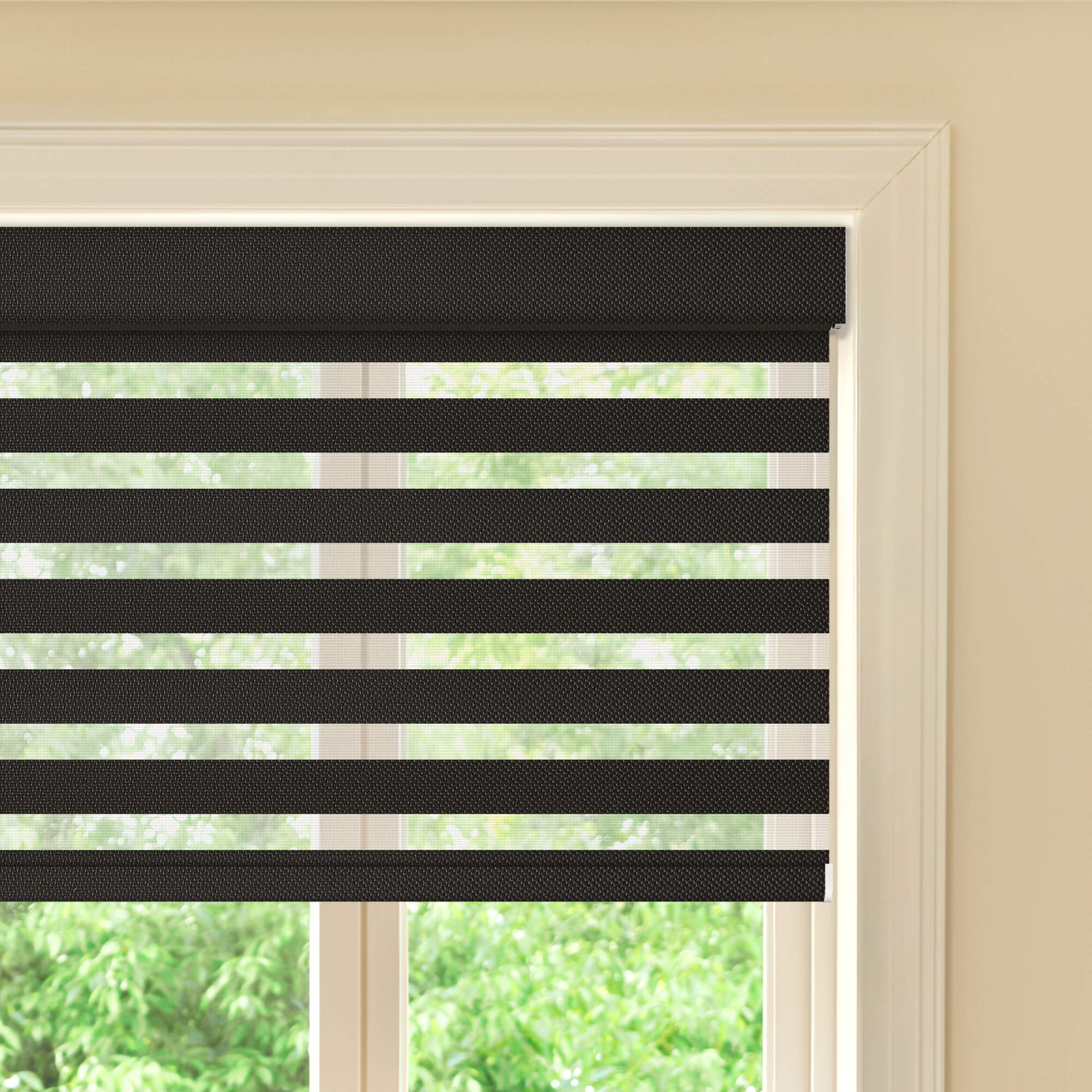 Allesin Prestige Motorized Zebra Shades