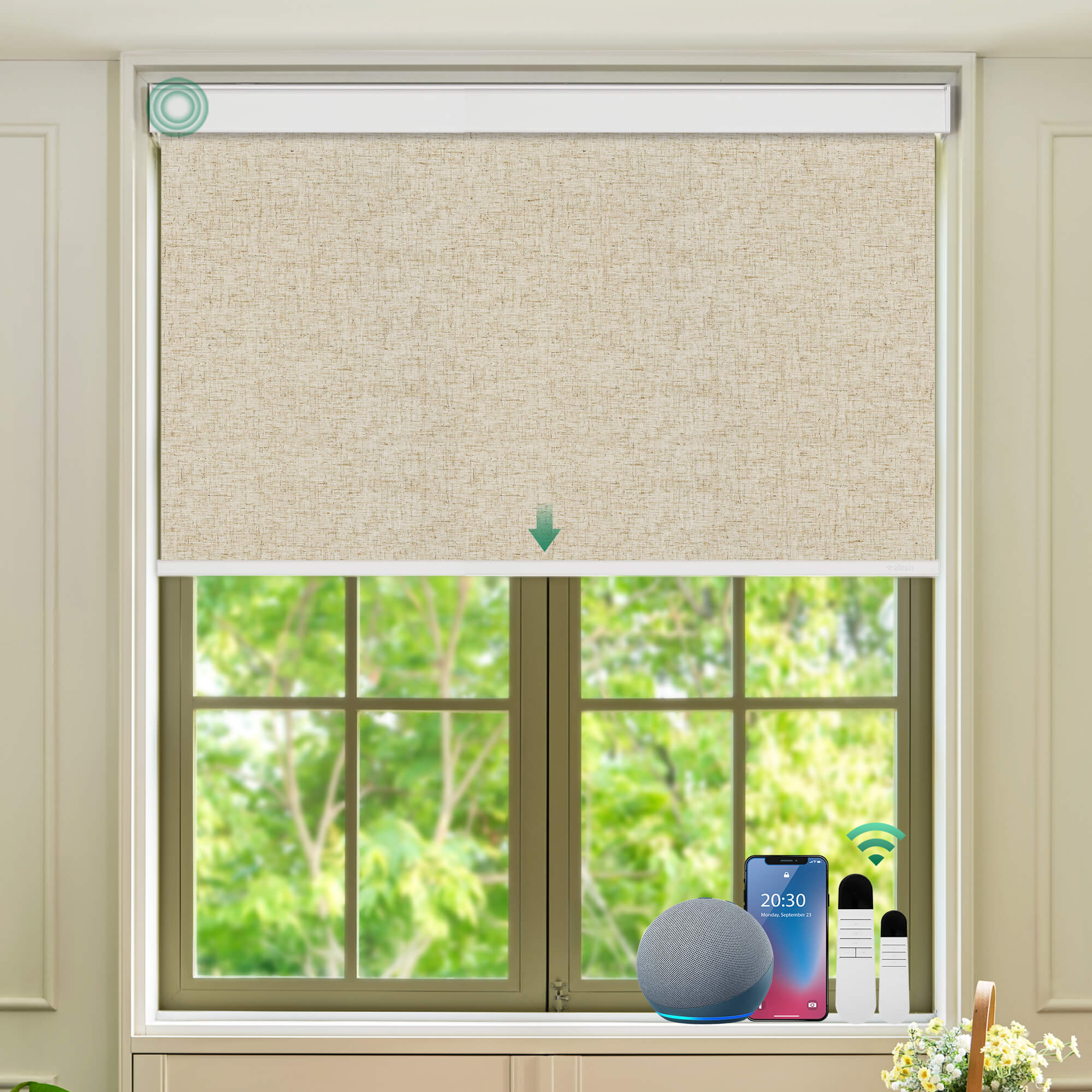 Allesin Select Motorized Blackout Roller Shades