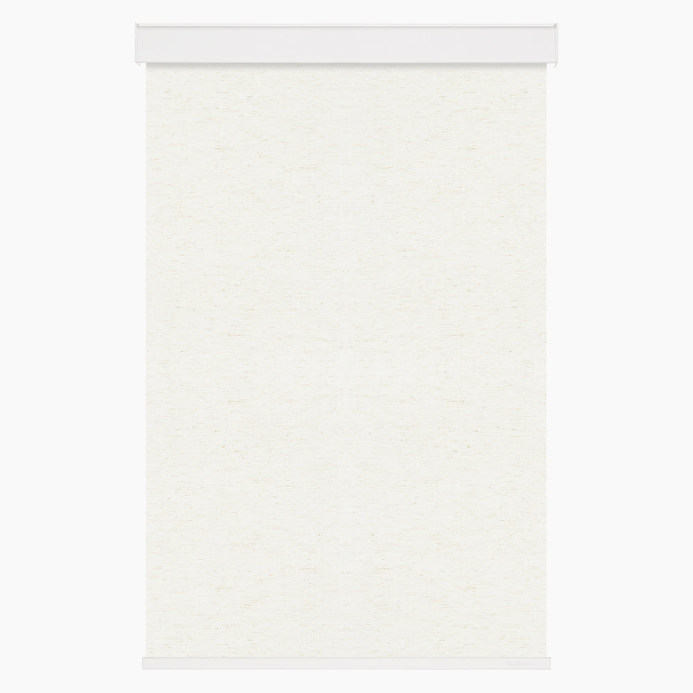 Allesin Motorized Light Filtering Roller Shades