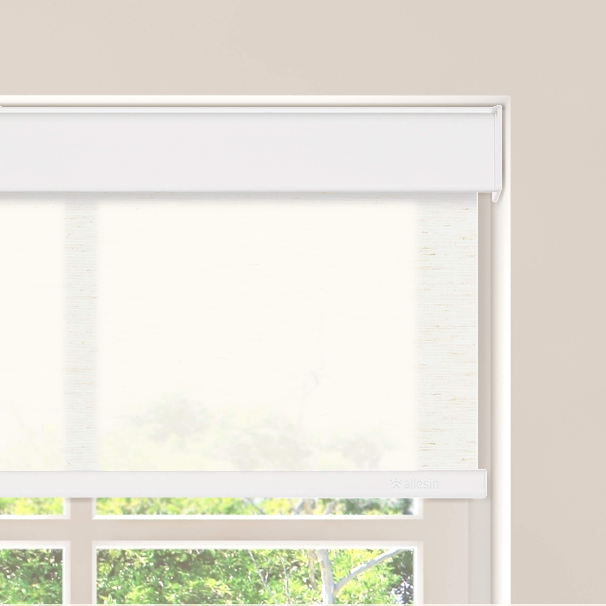 Allesin Motorized Light Filtering Roller Shades