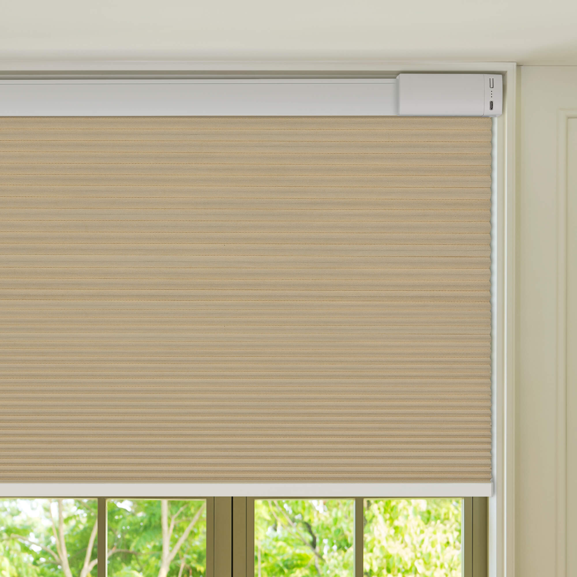 Allesin Select Motorized Blackout Honeycomb Shades