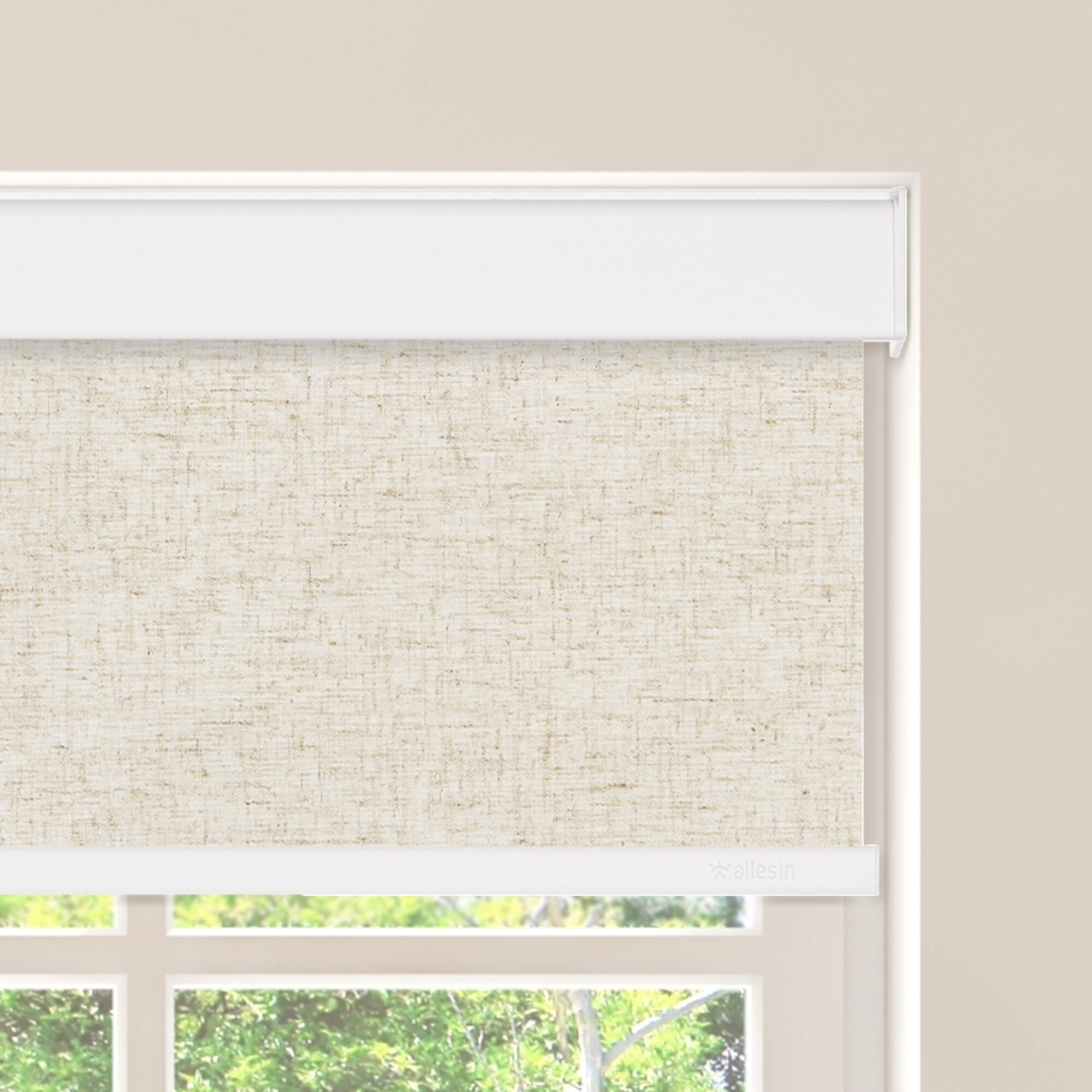 Allesin Select Motorized Blackout Roller Shades