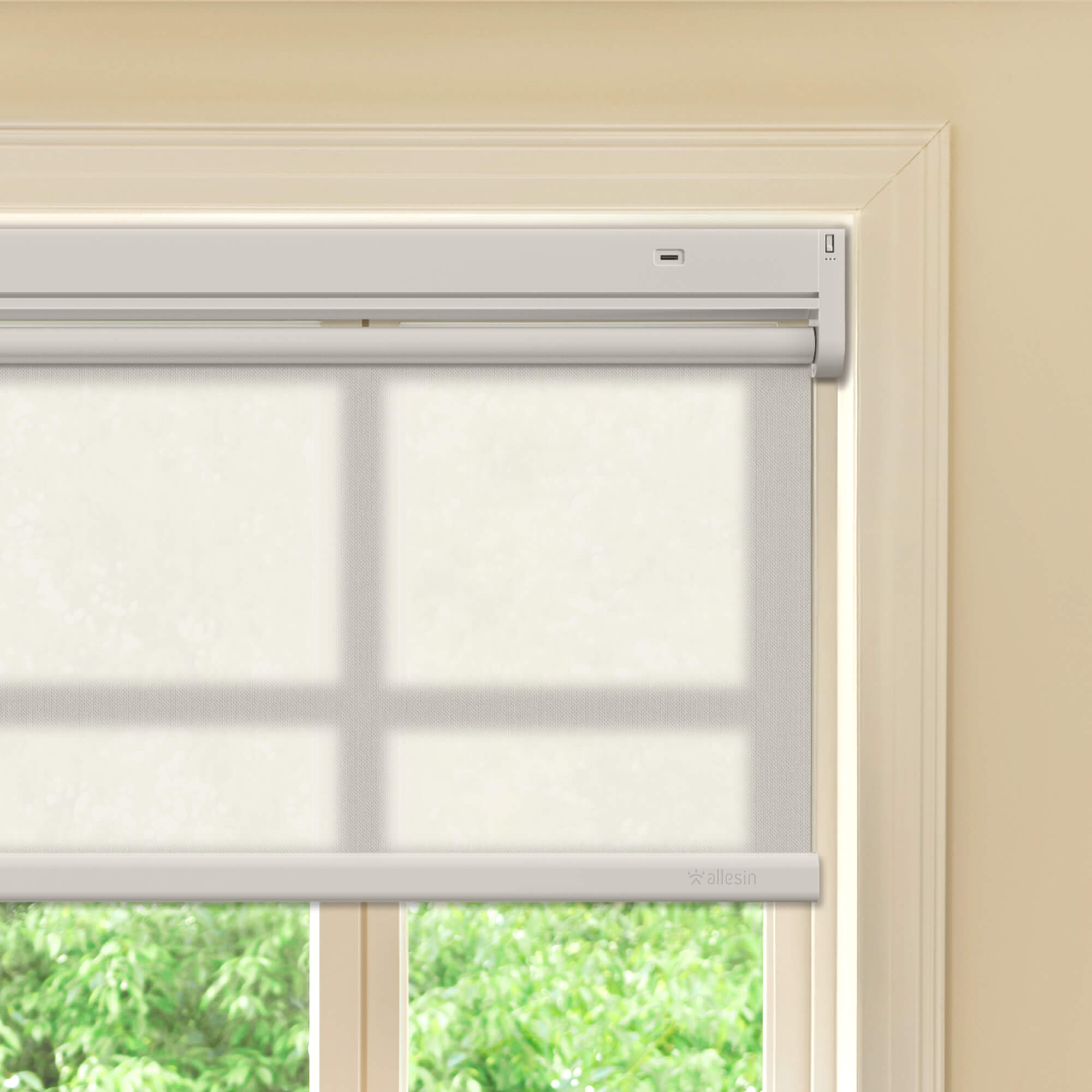 Allesin Best-Value Motorized Light Filtering Roller Shades