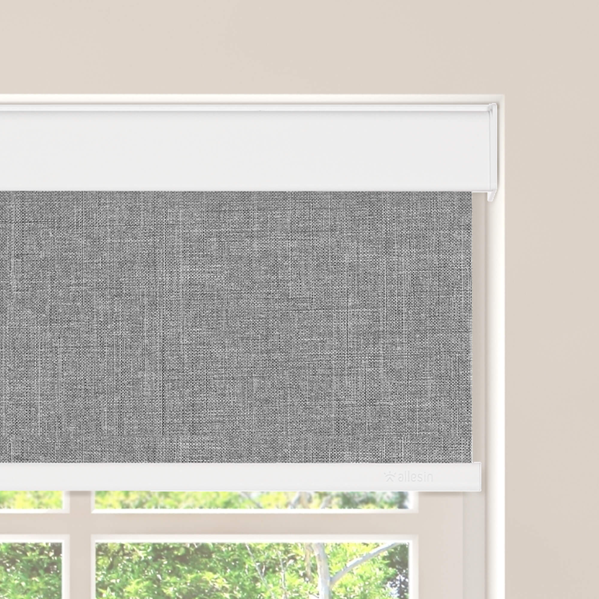 Allesin Select Motorized Blackout Roller Shades