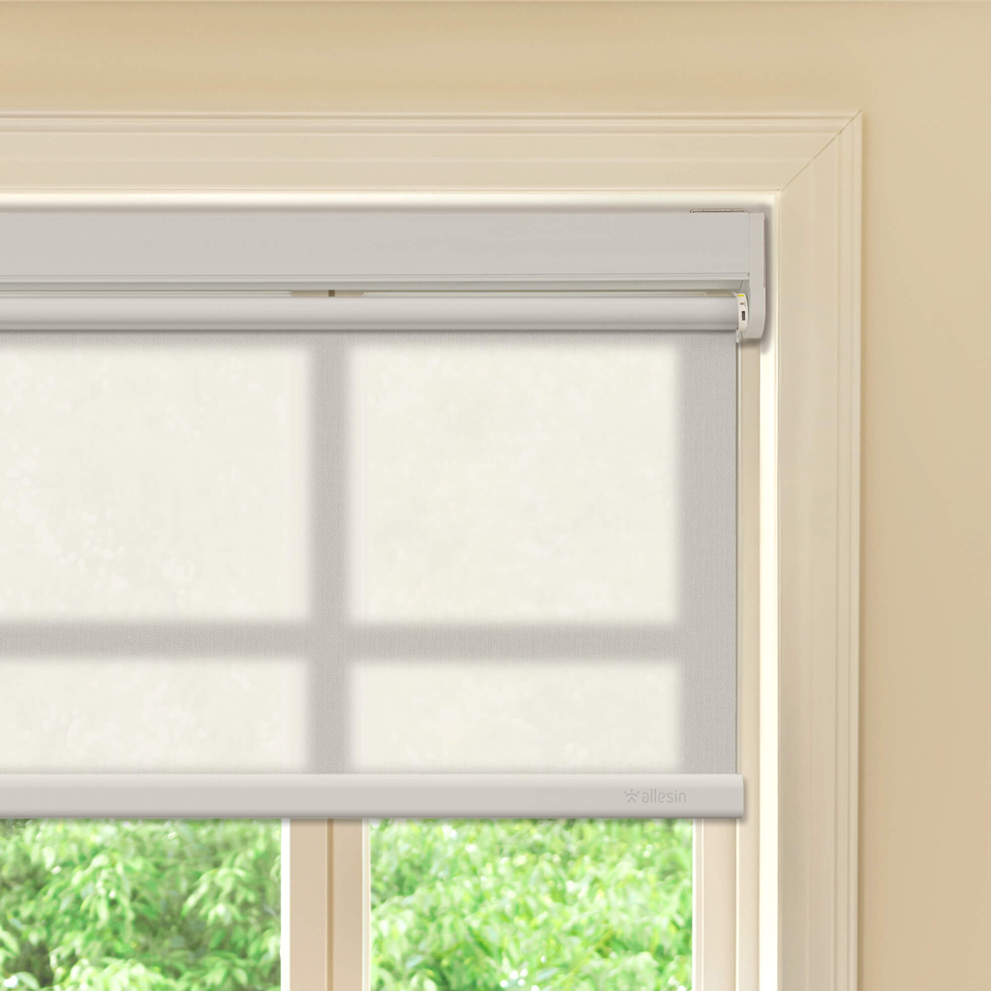 Allesin Best-Value Motorized Light Filtering Roller Shades