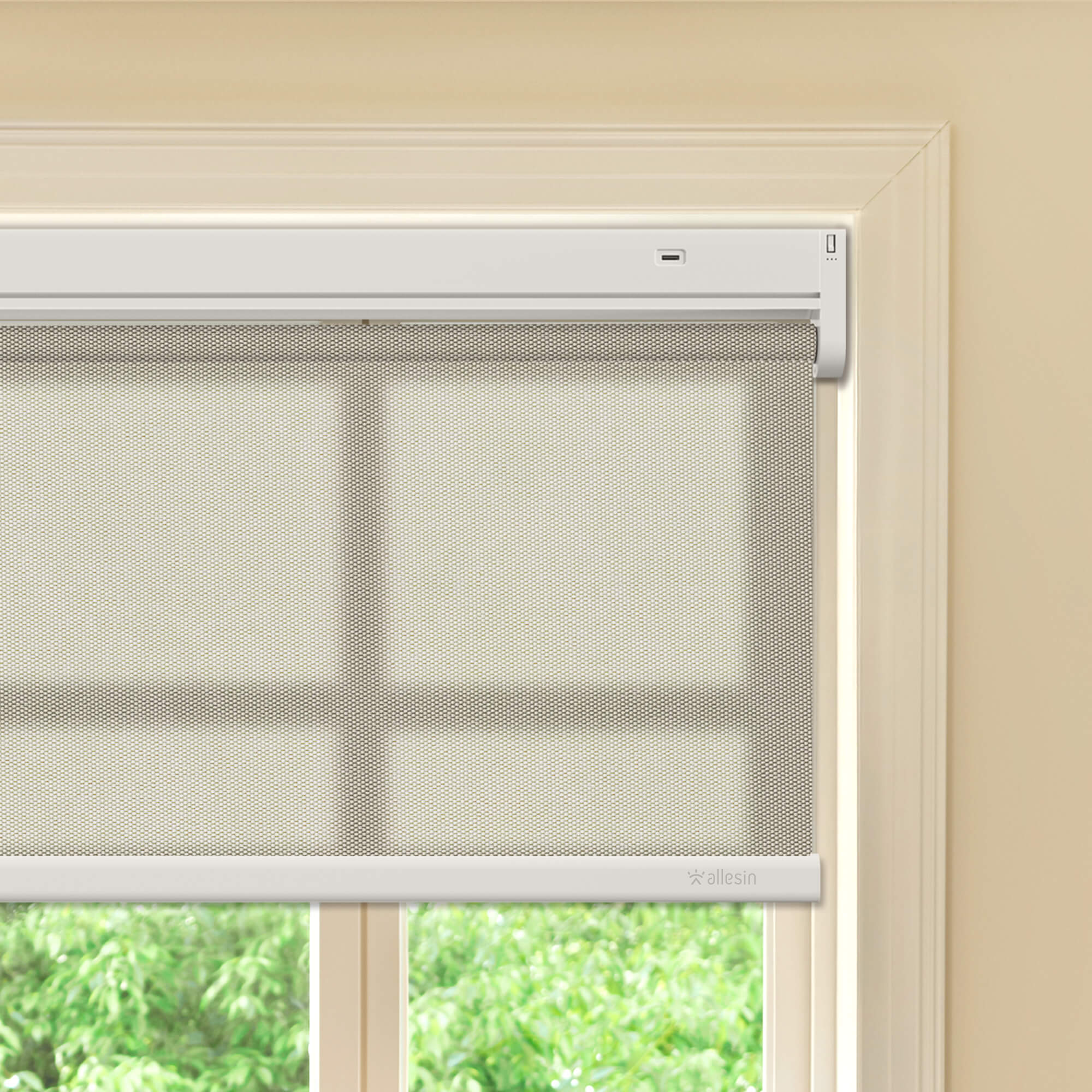 Allesin Best-Value Motorized Light Filtering Roller Shades