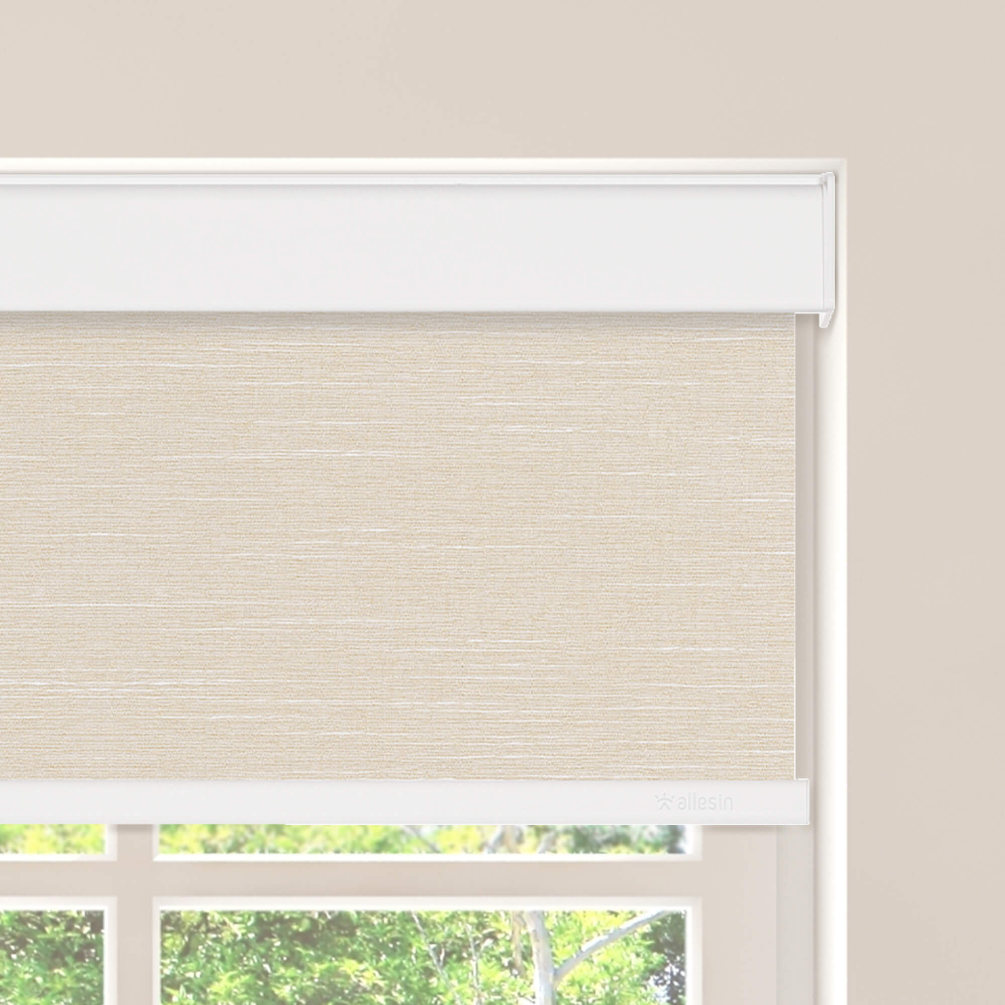 Allesin Select Motorized Blackout Roller Shades