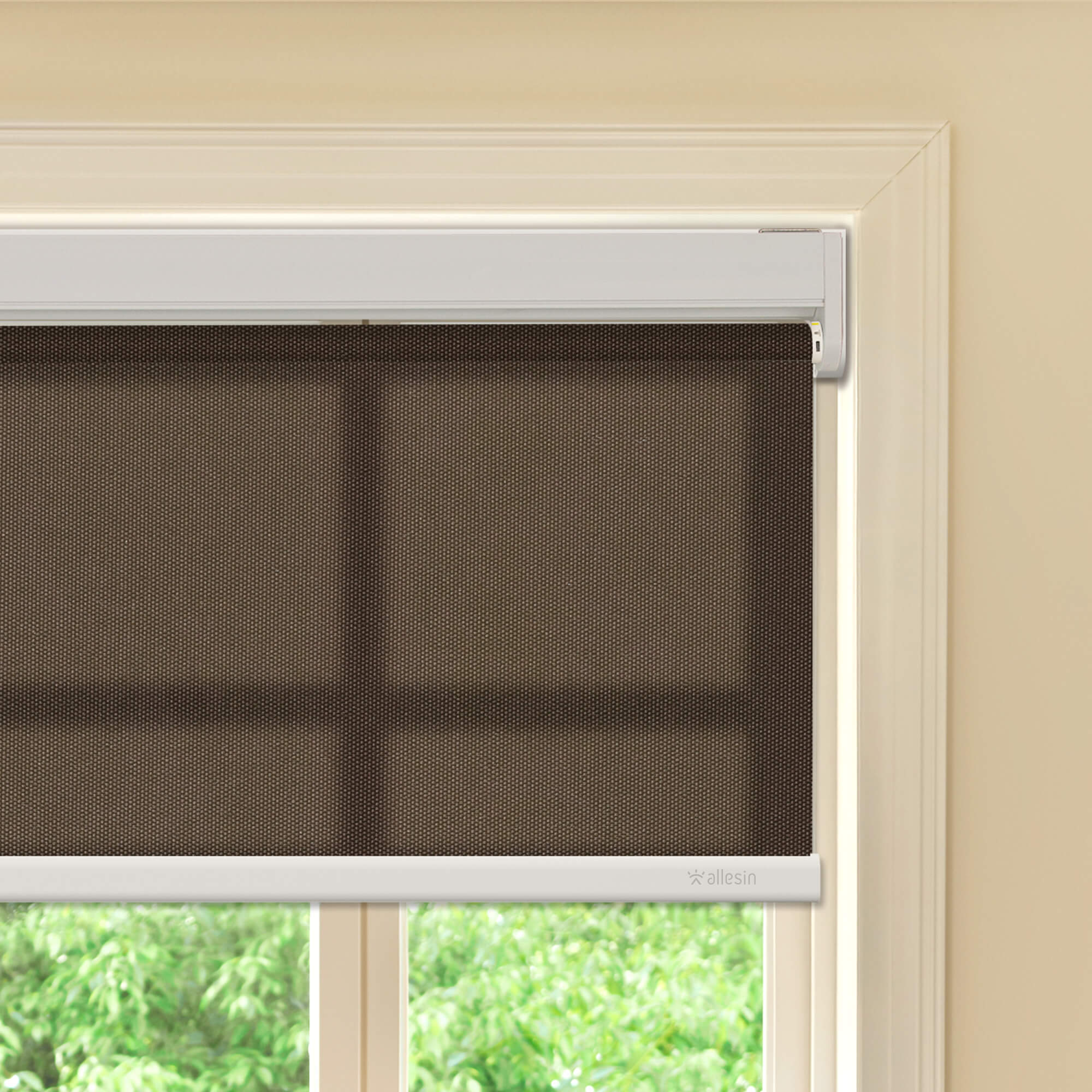 Allesin Best-Value Motorized Light Filtering Roller Shades