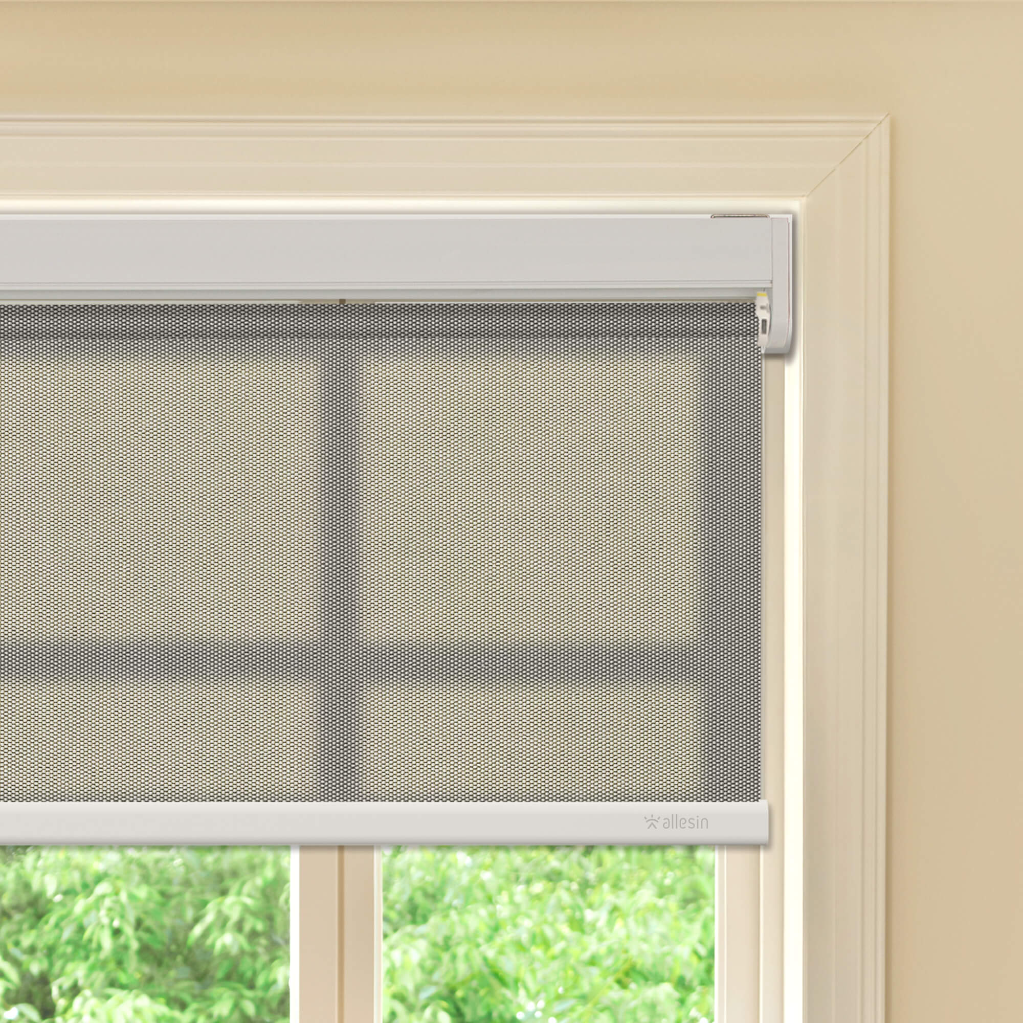 Allesin Best-Value Motorized Light Filtering Roller Shades