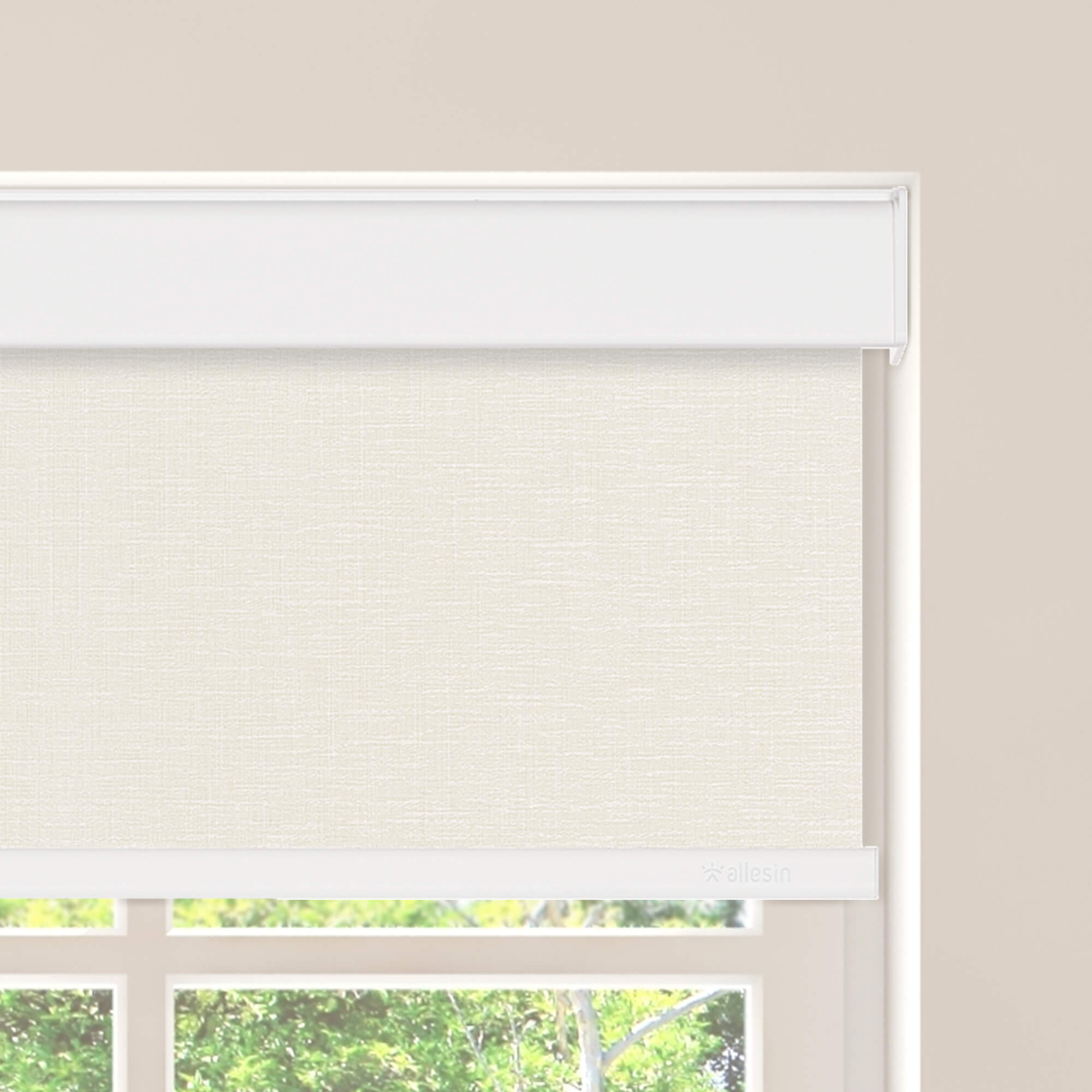 Allesin Select Motorized Blackout Roller Shades