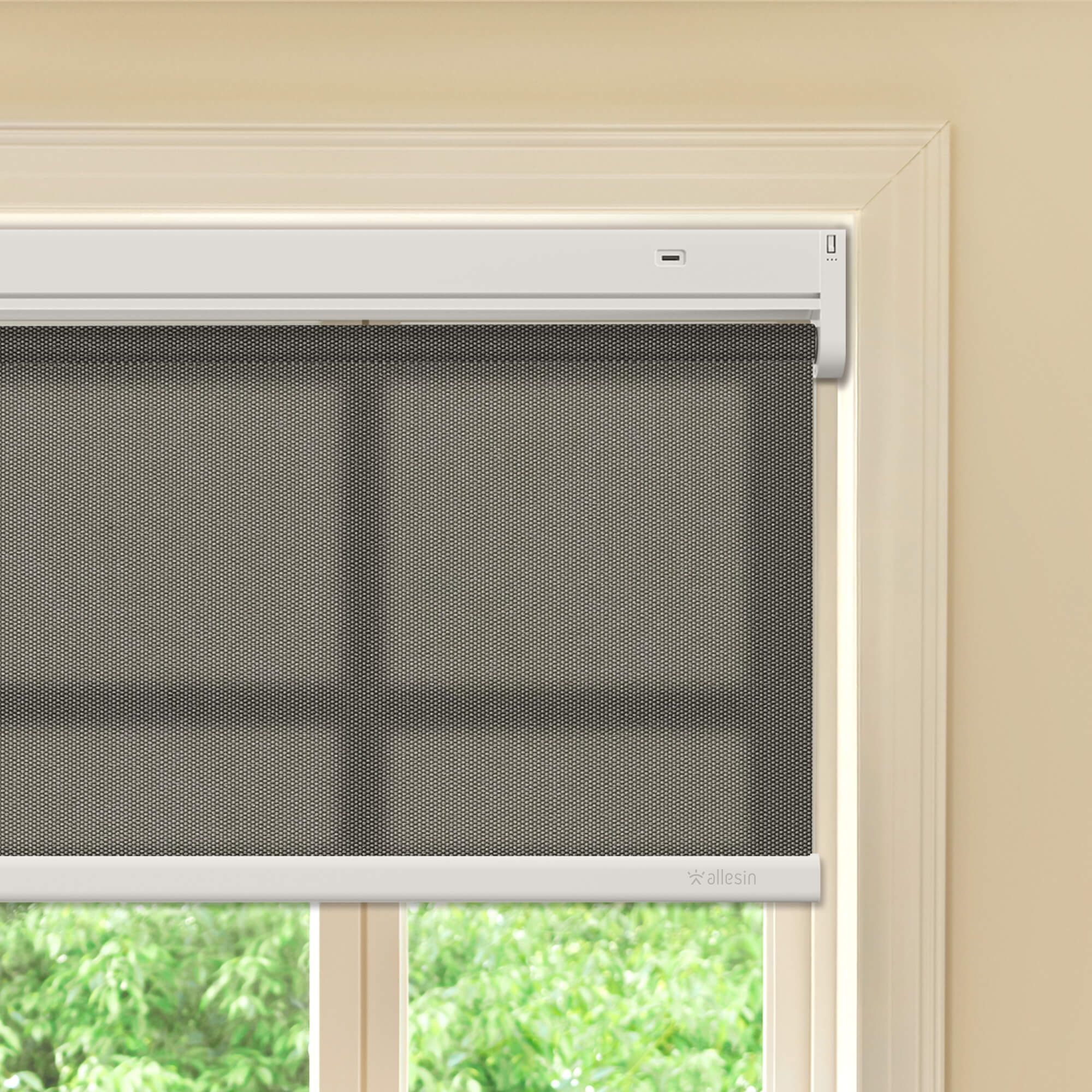 Allesin Best-Value Motorized Light Filtering Roller Shades