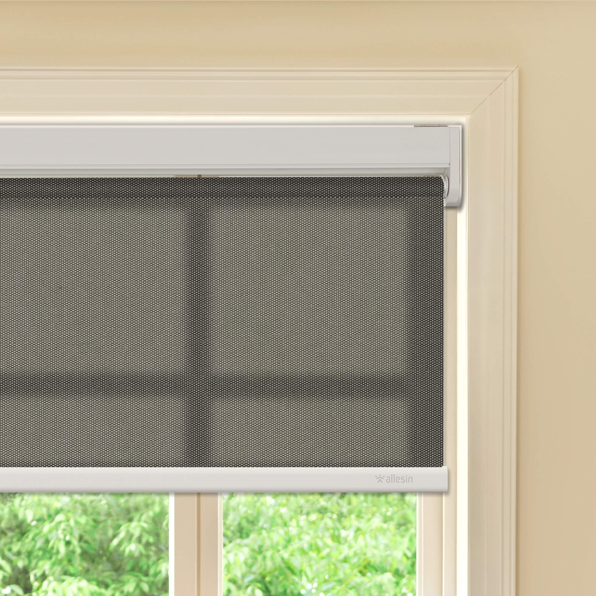 Allesin Best-Value Motorized Light Filtering Roller Shades