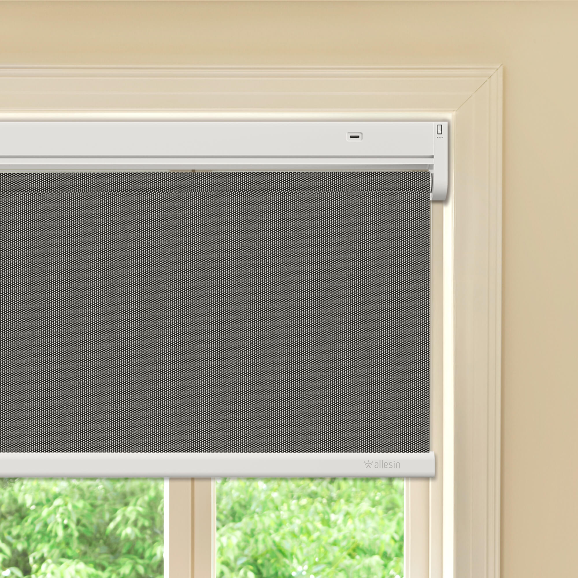 Allesin Best-Value Motorized Blackout Roller Shades