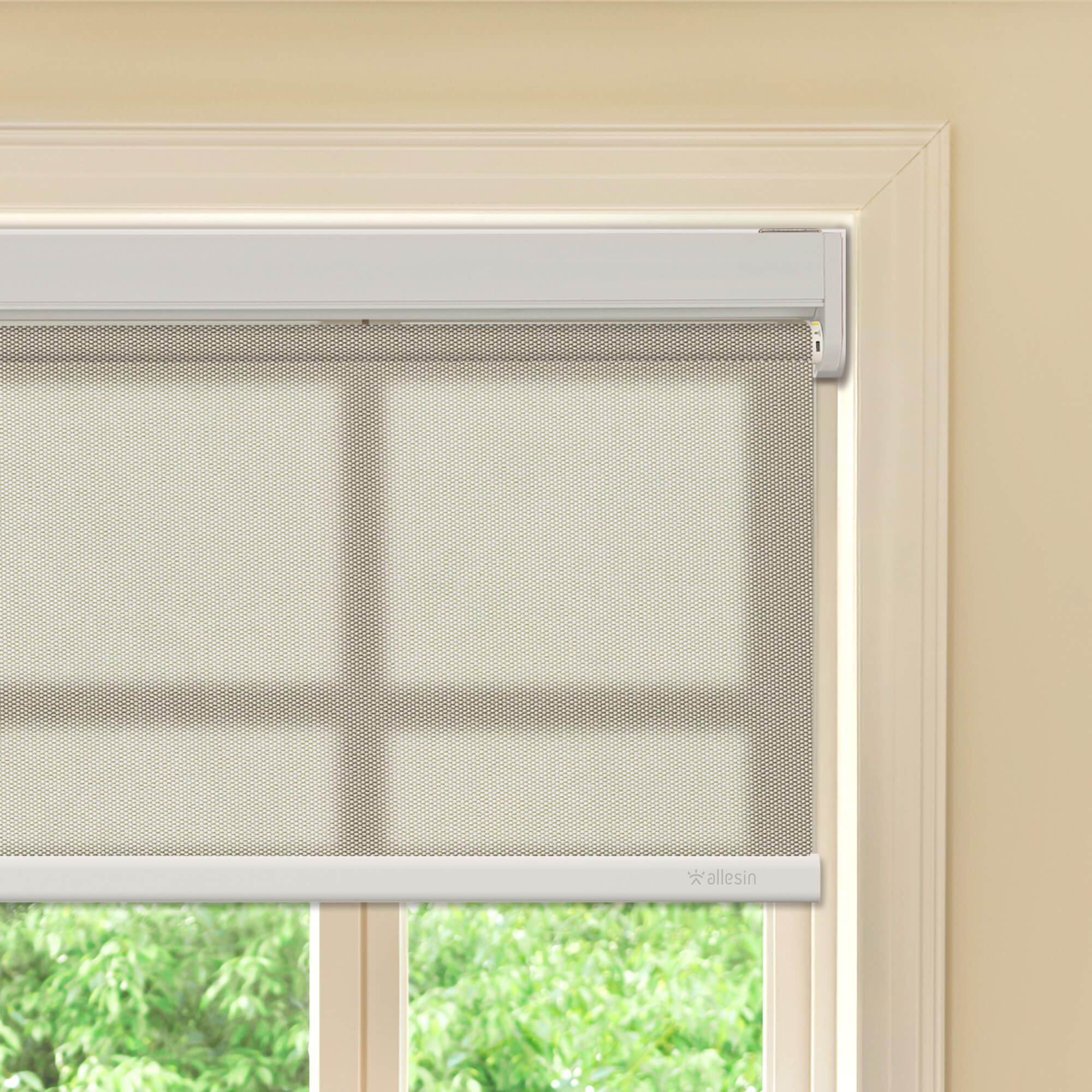 Allesin Best-Value Motorized Light Filtering Roller Shades