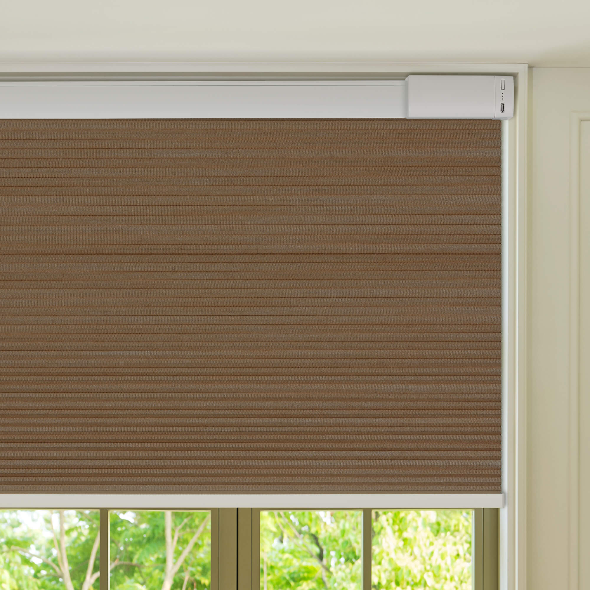 Allesin Select Motorized Blackout Honeycomb Shades