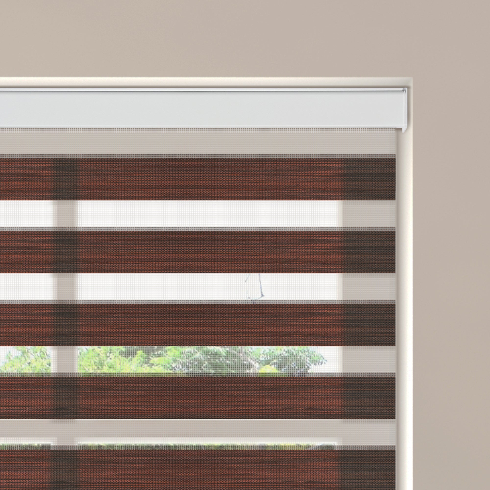 Allesin Select Motorized Zebra Shades