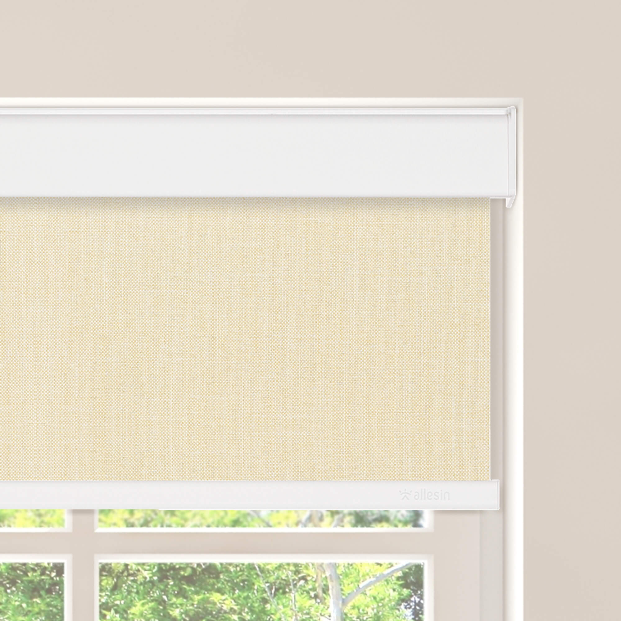 Allesin Select Motorized Blackout Roller Shades