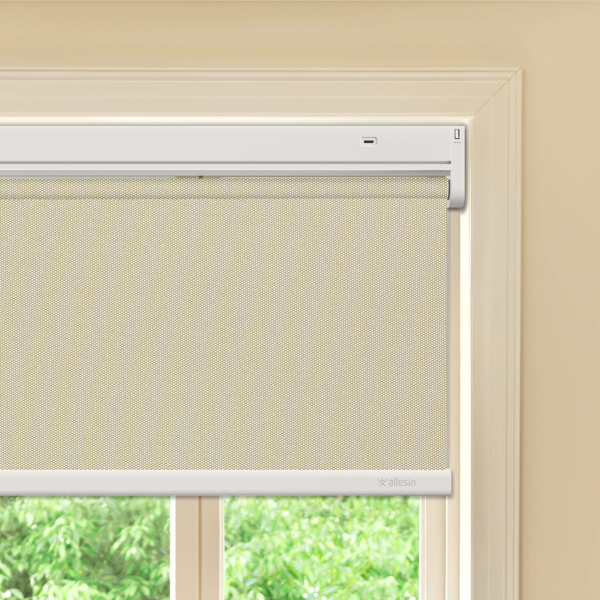 Allesin Best-Value Motorized Blackout Roller Shades
