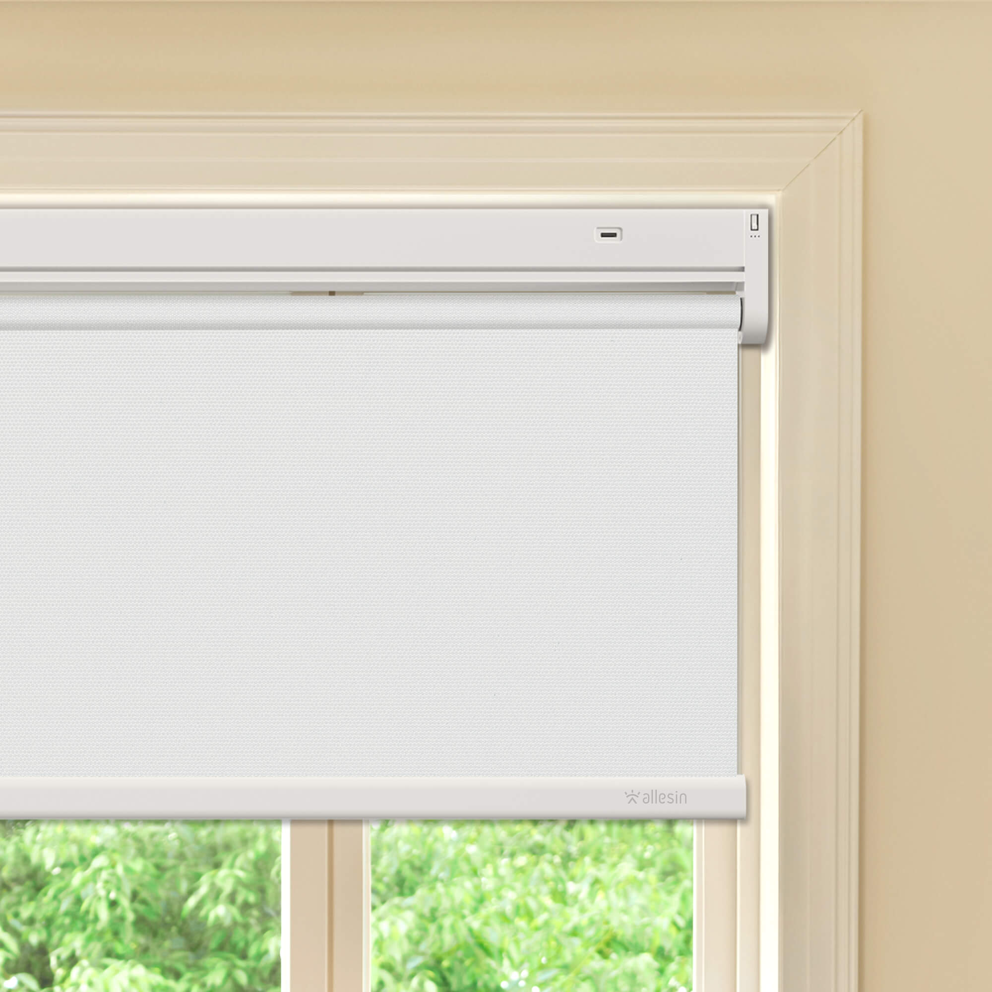 Allesin Best-Value Motorized Blackout Roller Shades