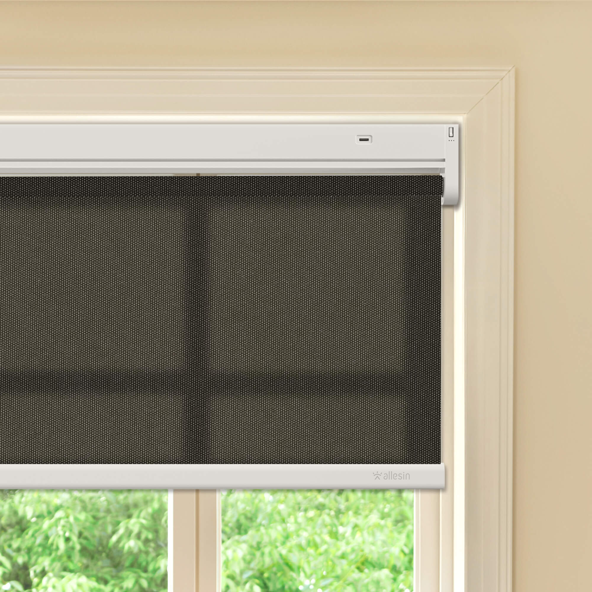 Allesin Best-Value Motorized Light Filtering Roller Shades