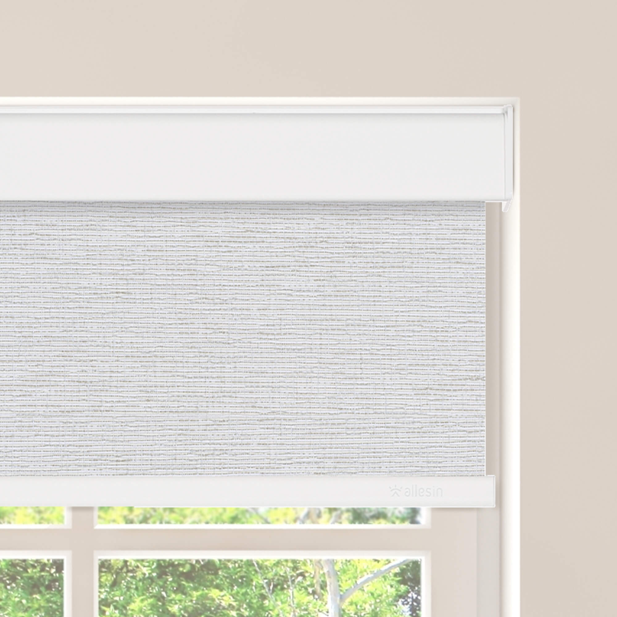 Allesin Select Motorized Blackout Roller Shades