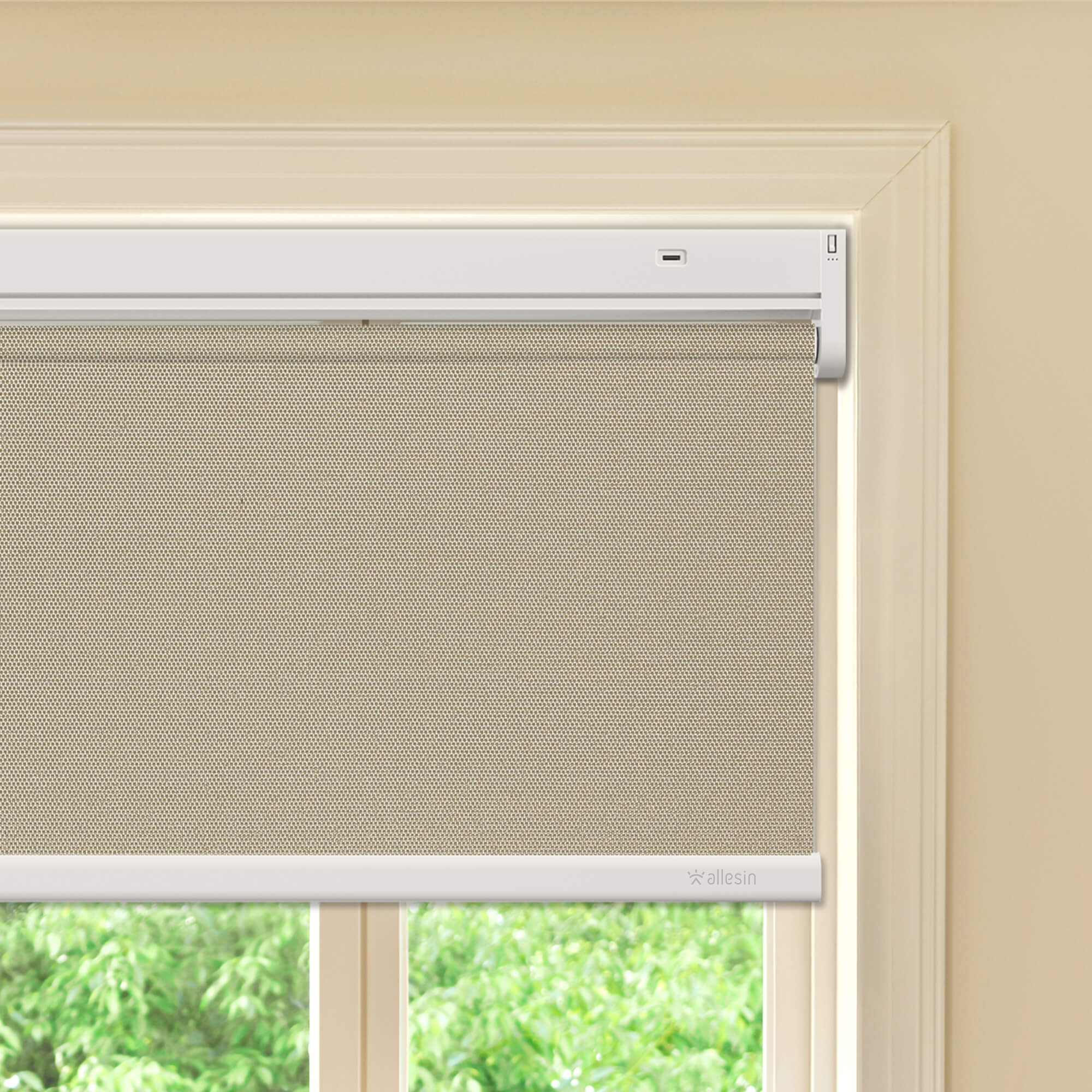 Allesin Best-Value Motorized Blackout Roller Shades