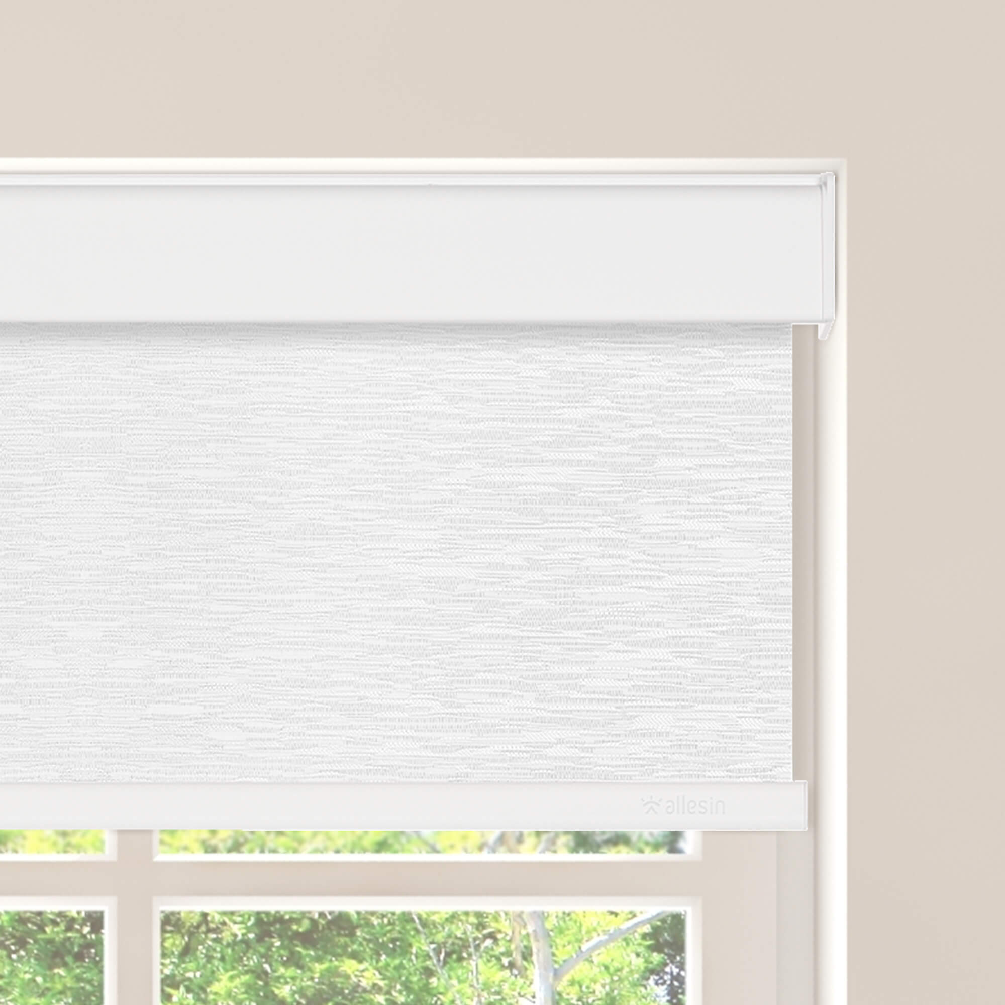 Allesin Select Motorized Blackout Roller Shades