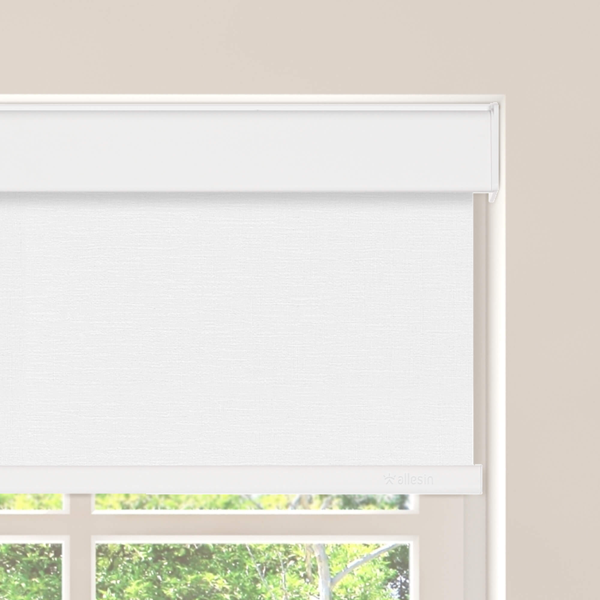 Allesin Select Motorized Blackout Roller Shades