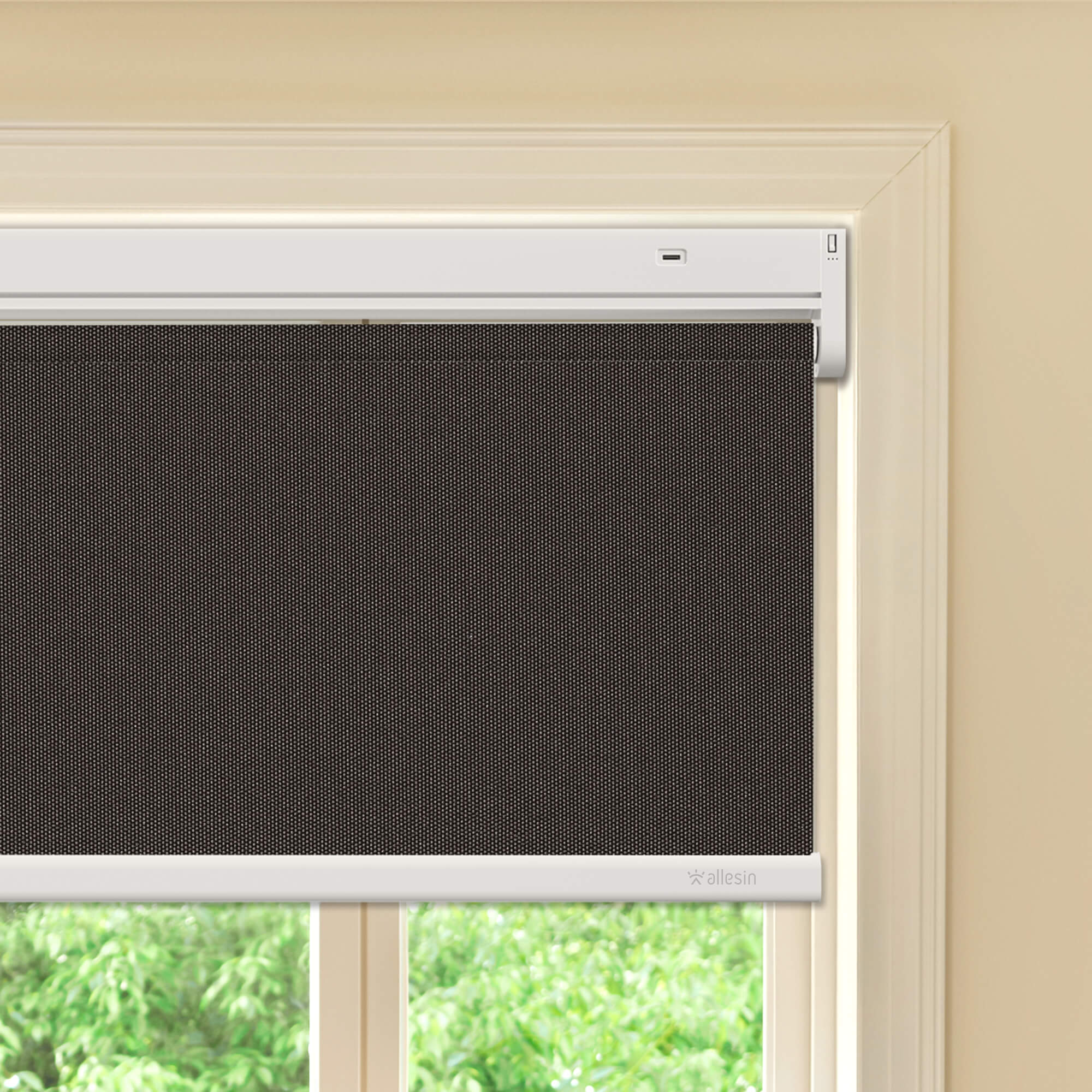 Allesin Best-Value Motorized Blackout Roller Shades