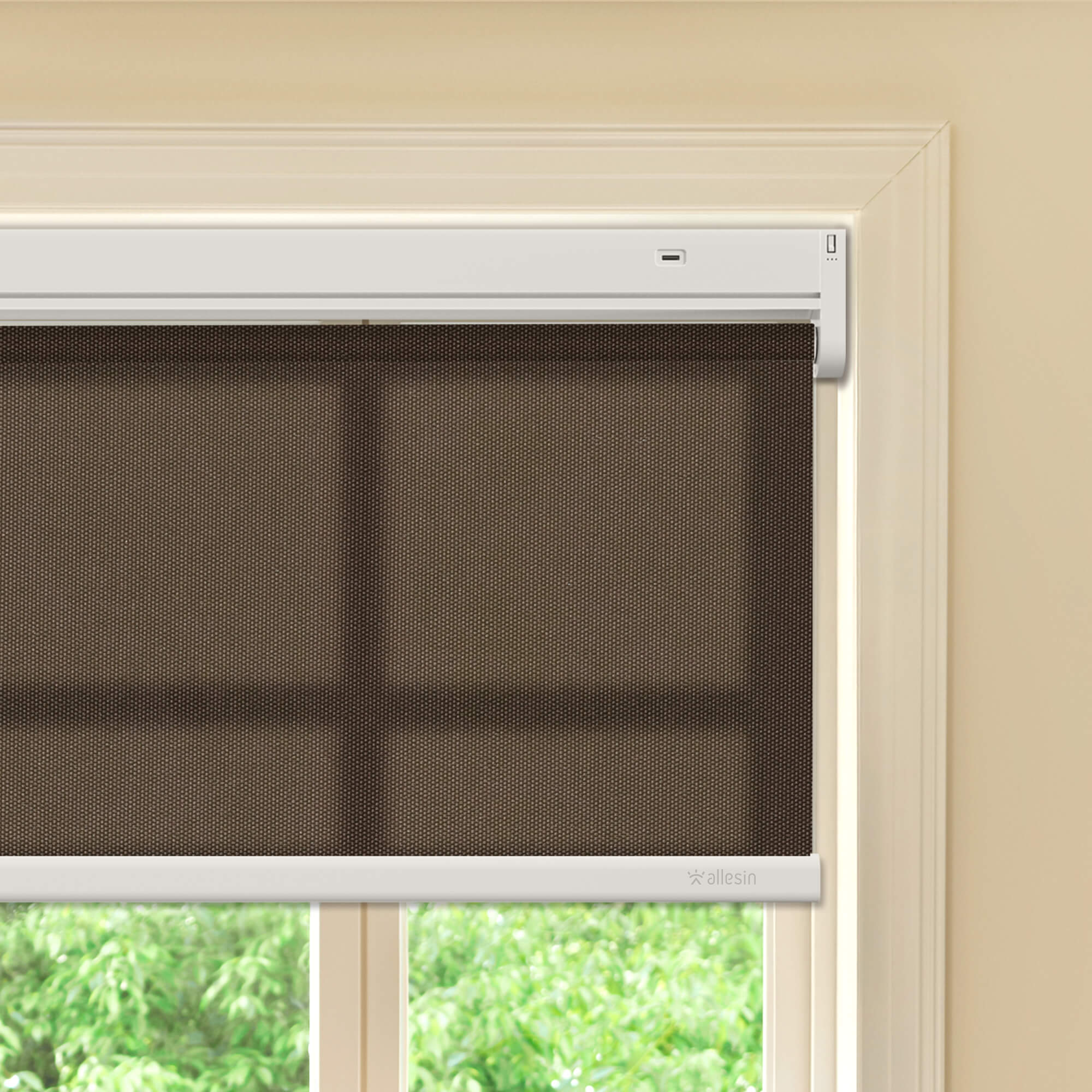 Allesin Best-Value Motorized Light Filtering Roller Shades