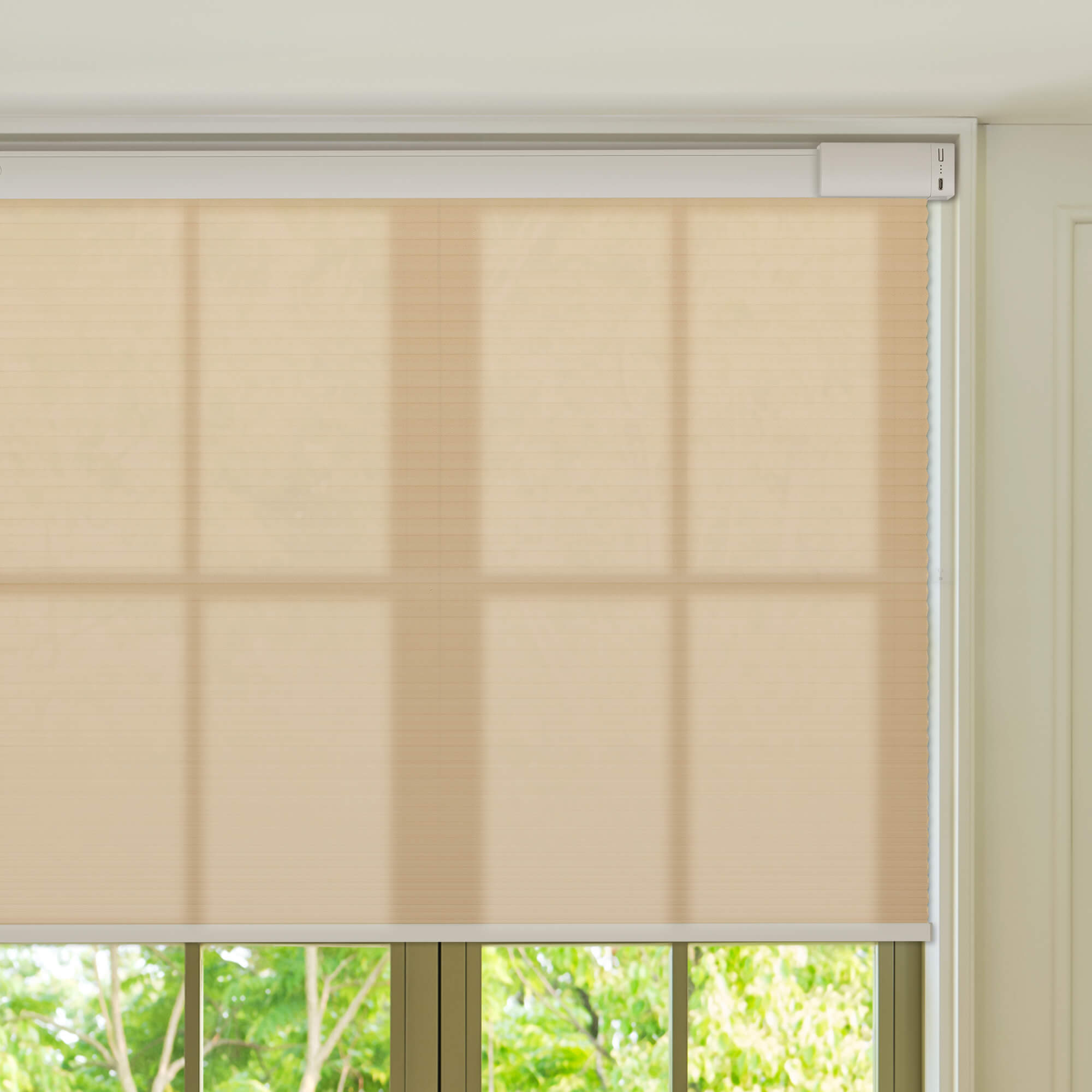 Allesin Select Motorized Light Filtering Honeycomb Shades