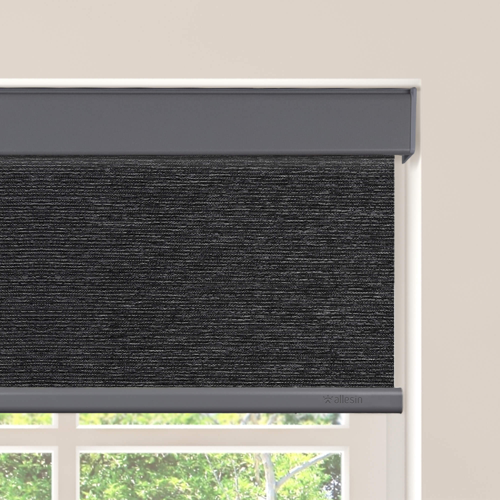 Allesin Select Motorized Blackout Roller Shades