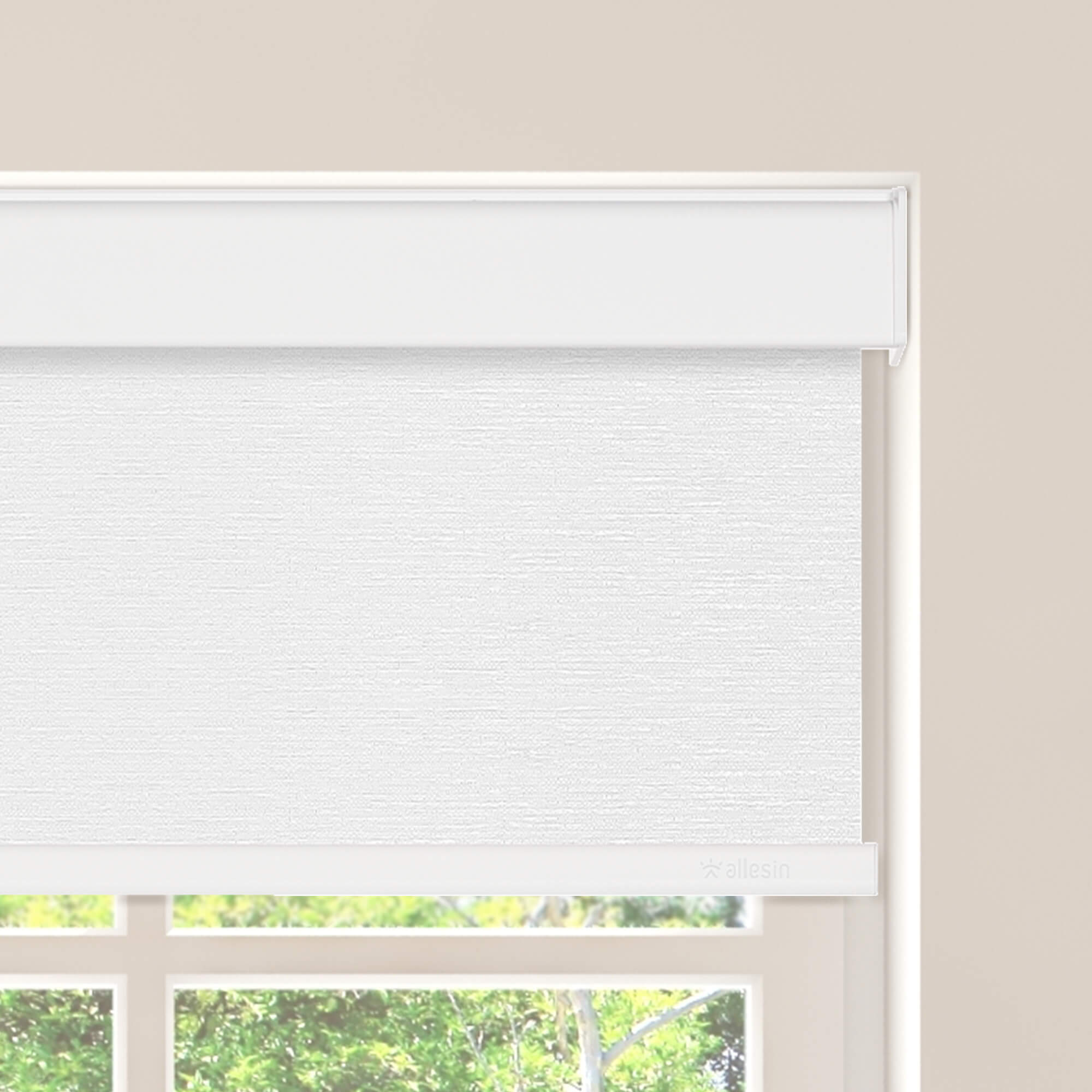 Allesin Select Motorized Blackout Roller Shades