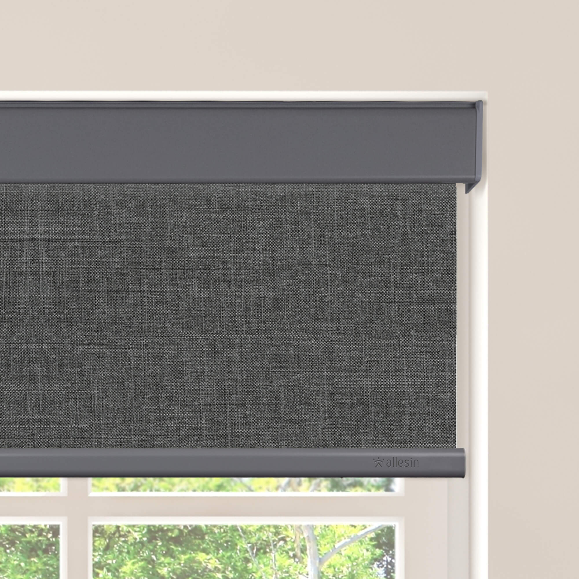 Allesin Select Motorized Blackout Roller Shades