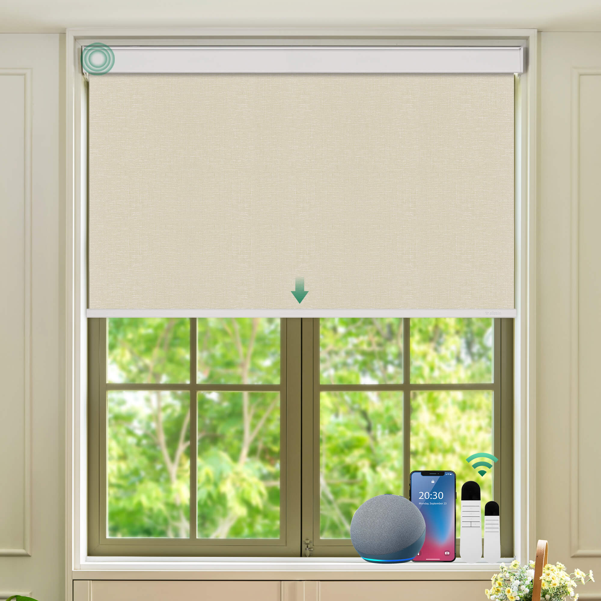 Allesin Select Motorized Blackout Roller Shades