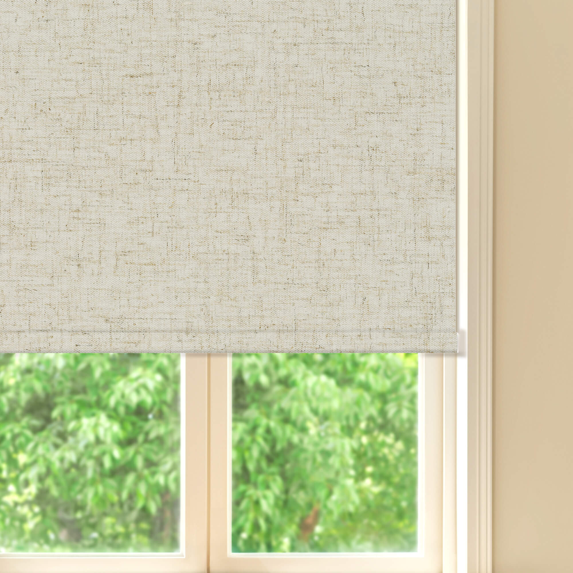 Allesin Prestige Motorized Blackout Roller Shades