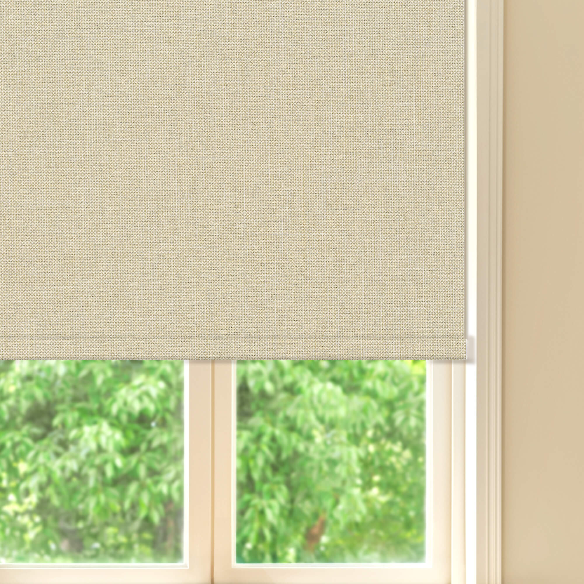Allesin Prestige Motorized Blackout Roller Shades